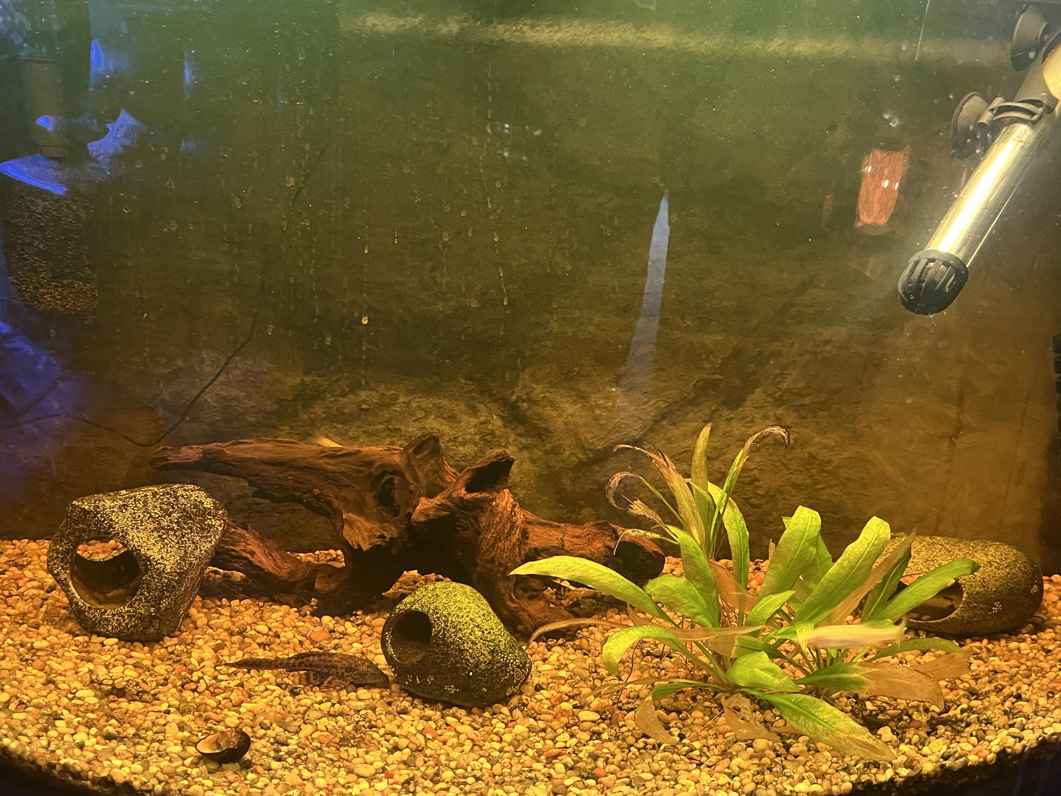 Tank Image