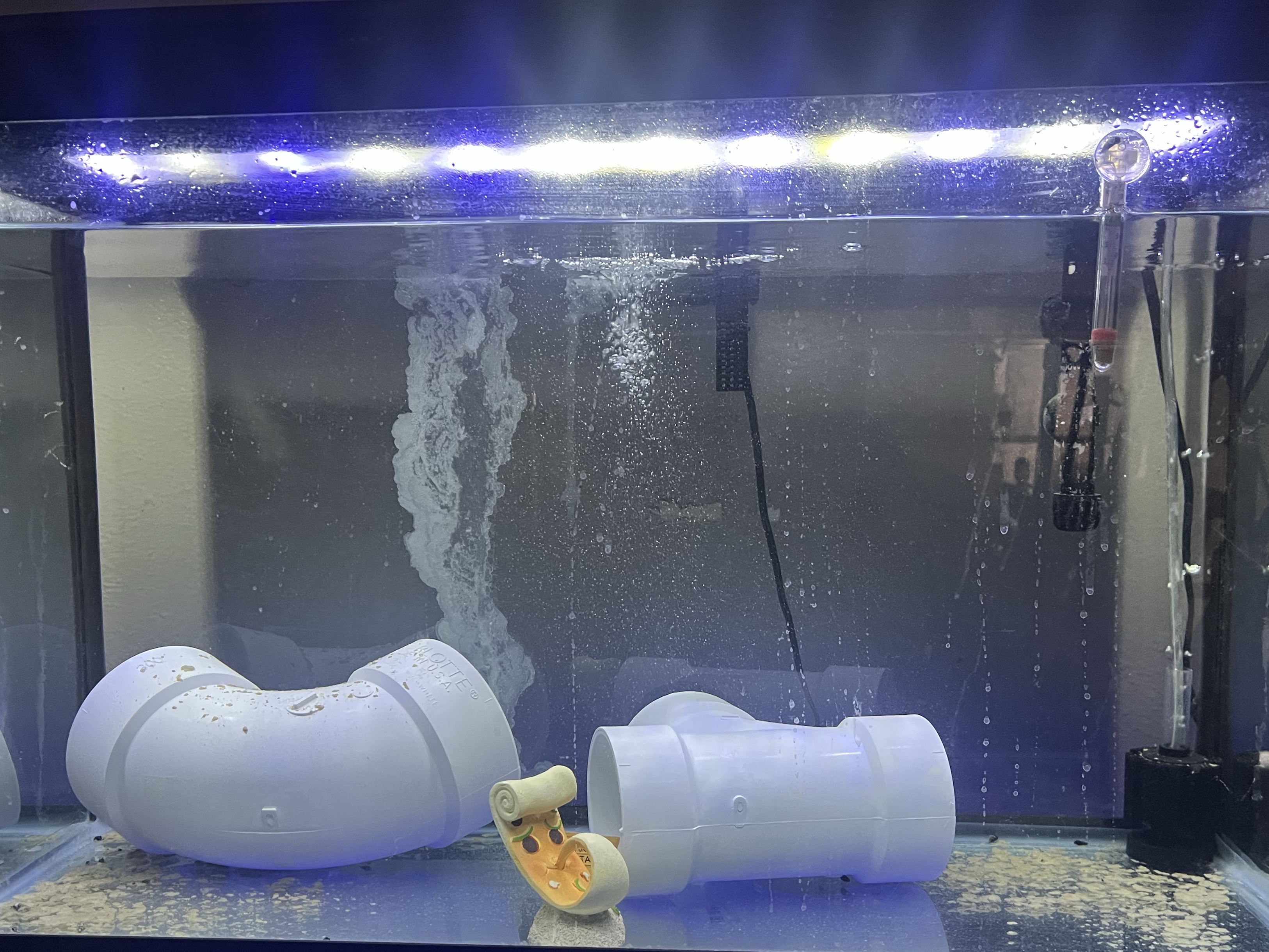 Tank Image