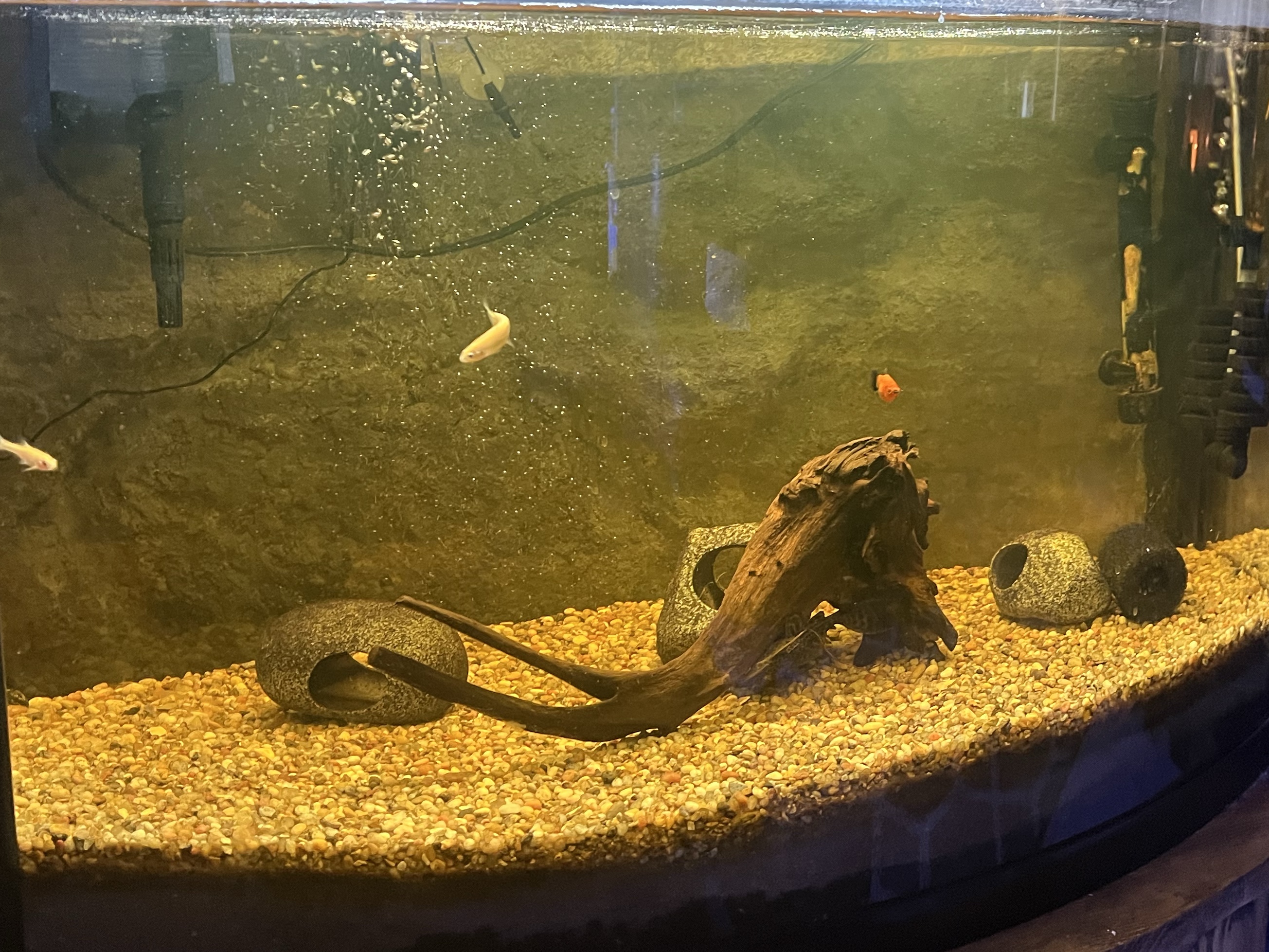 Tank Image