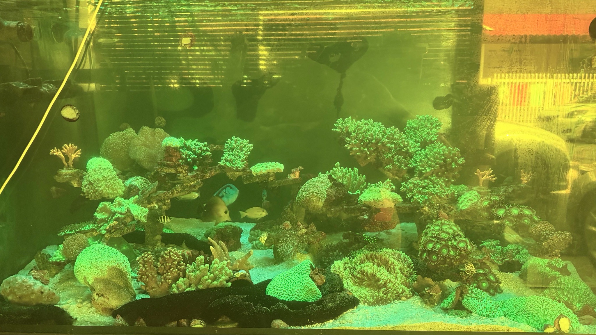 ReefBay post