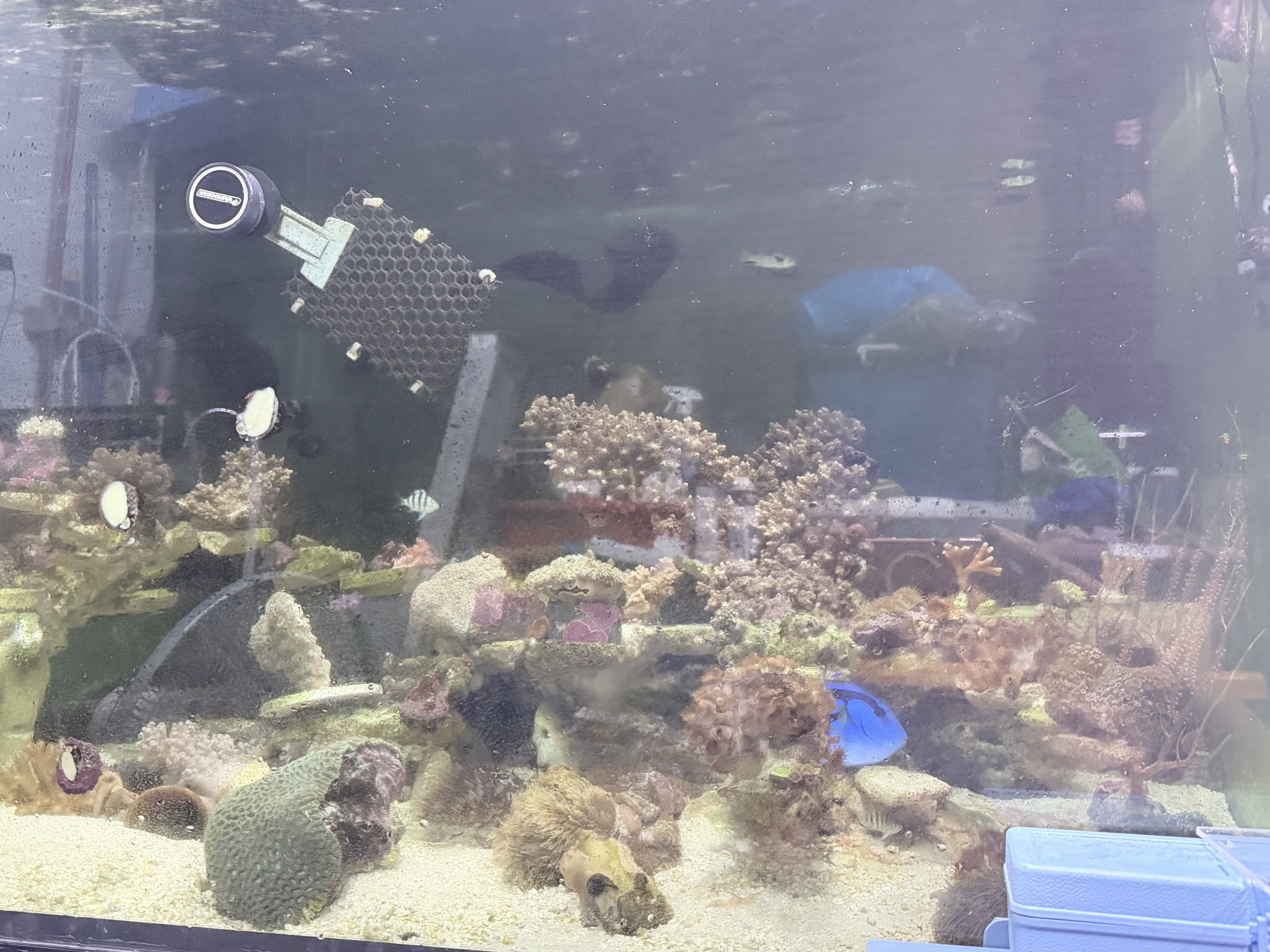 Tank Image