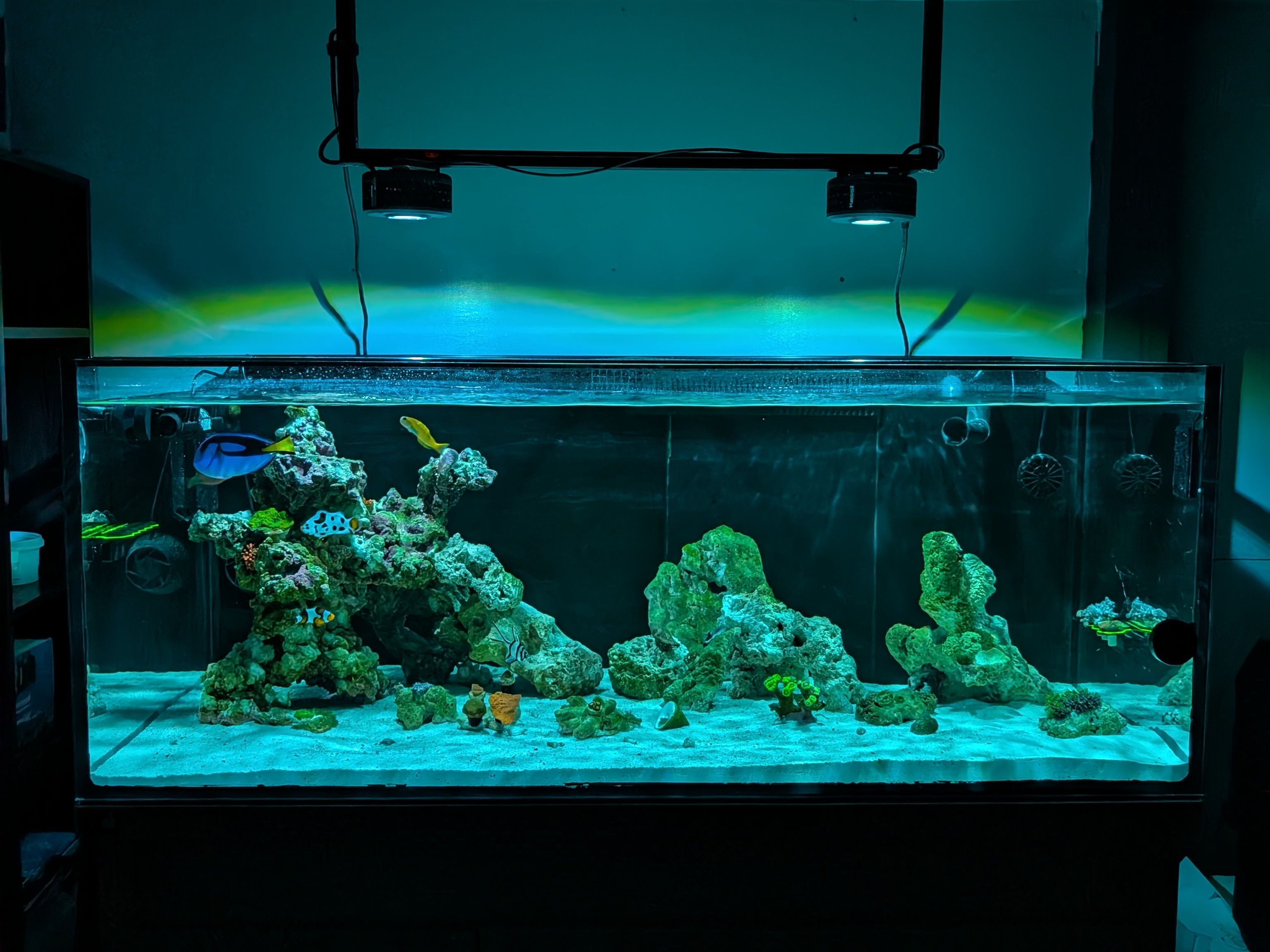 Tank Image