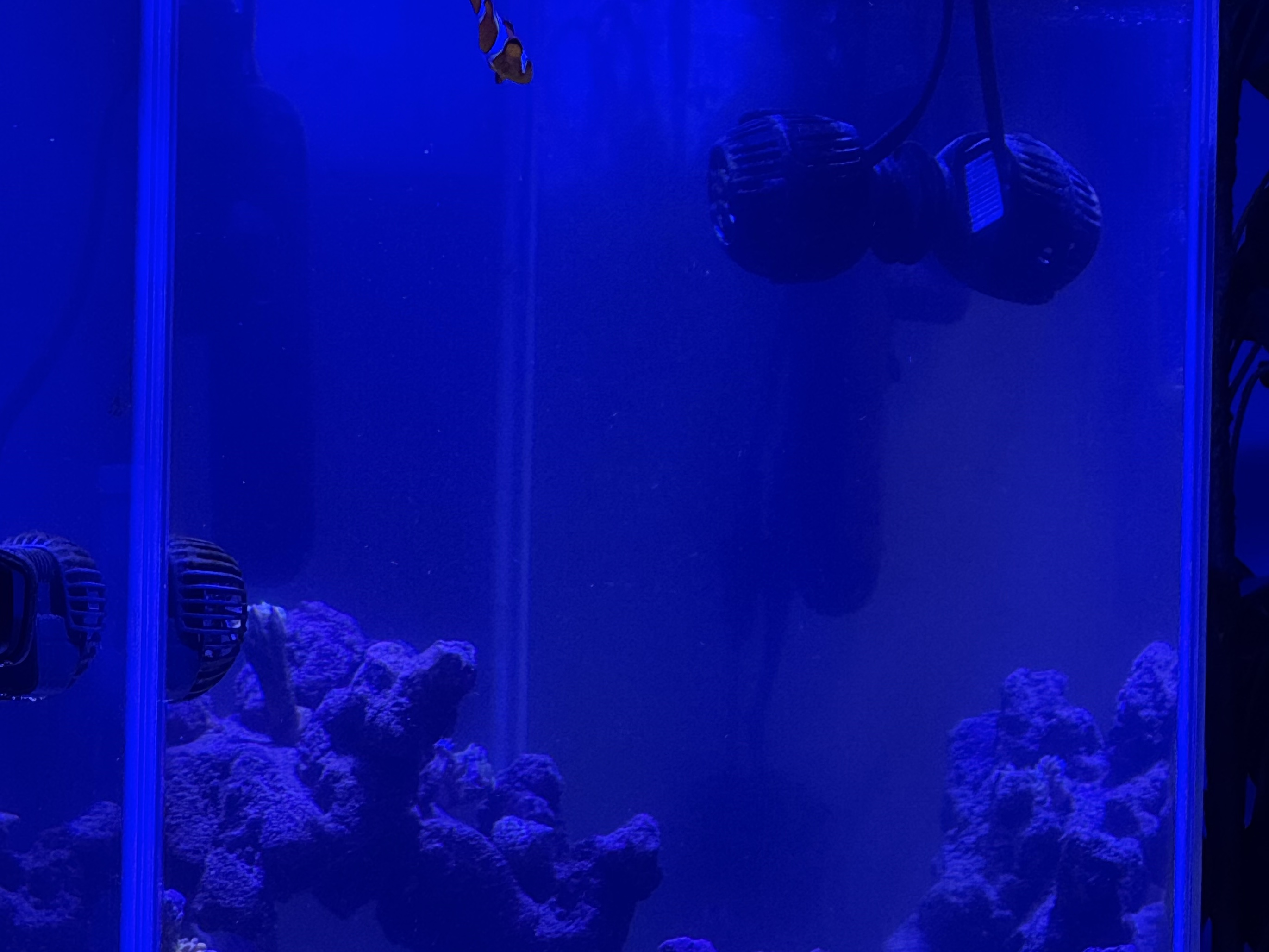 Tank Image