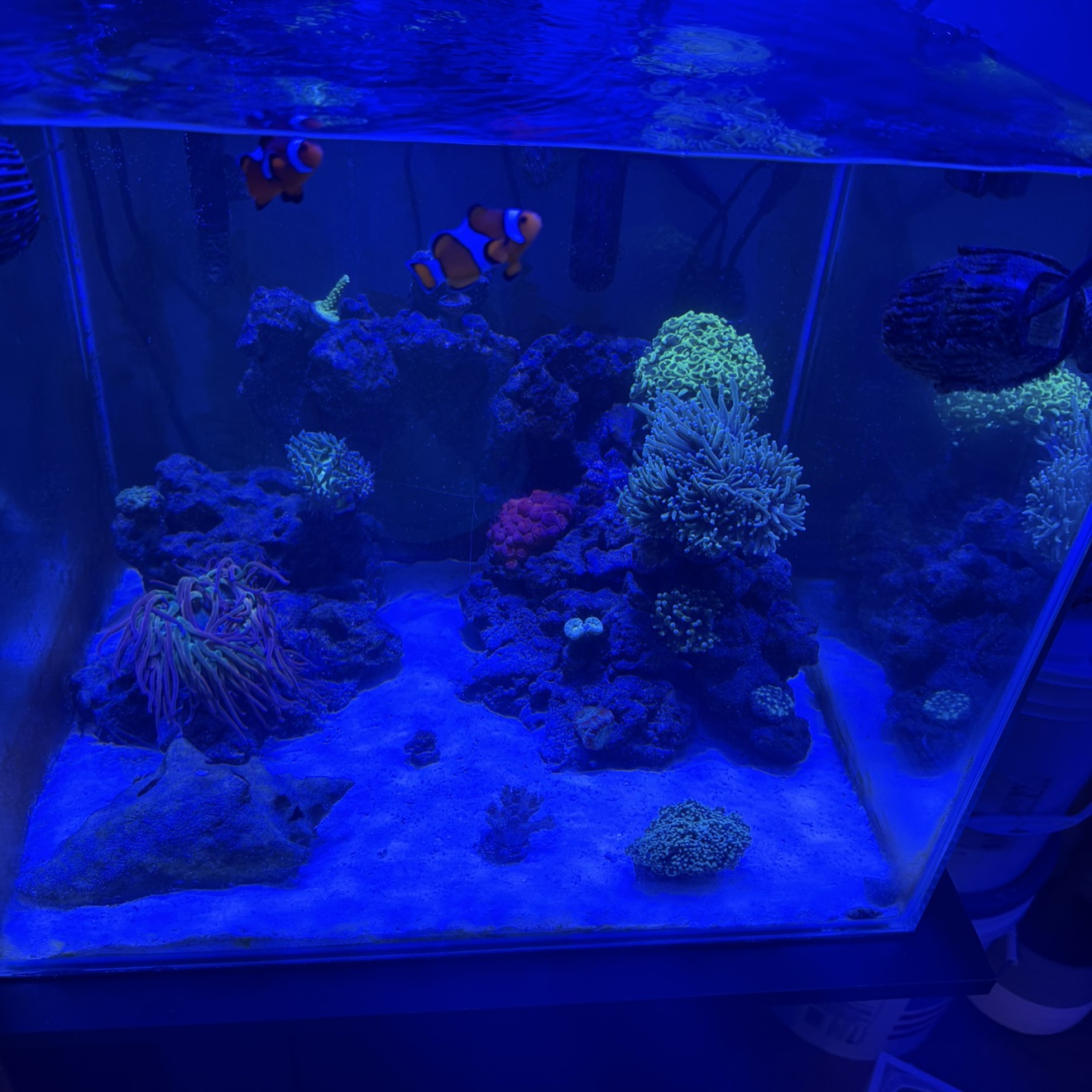 Tank Image