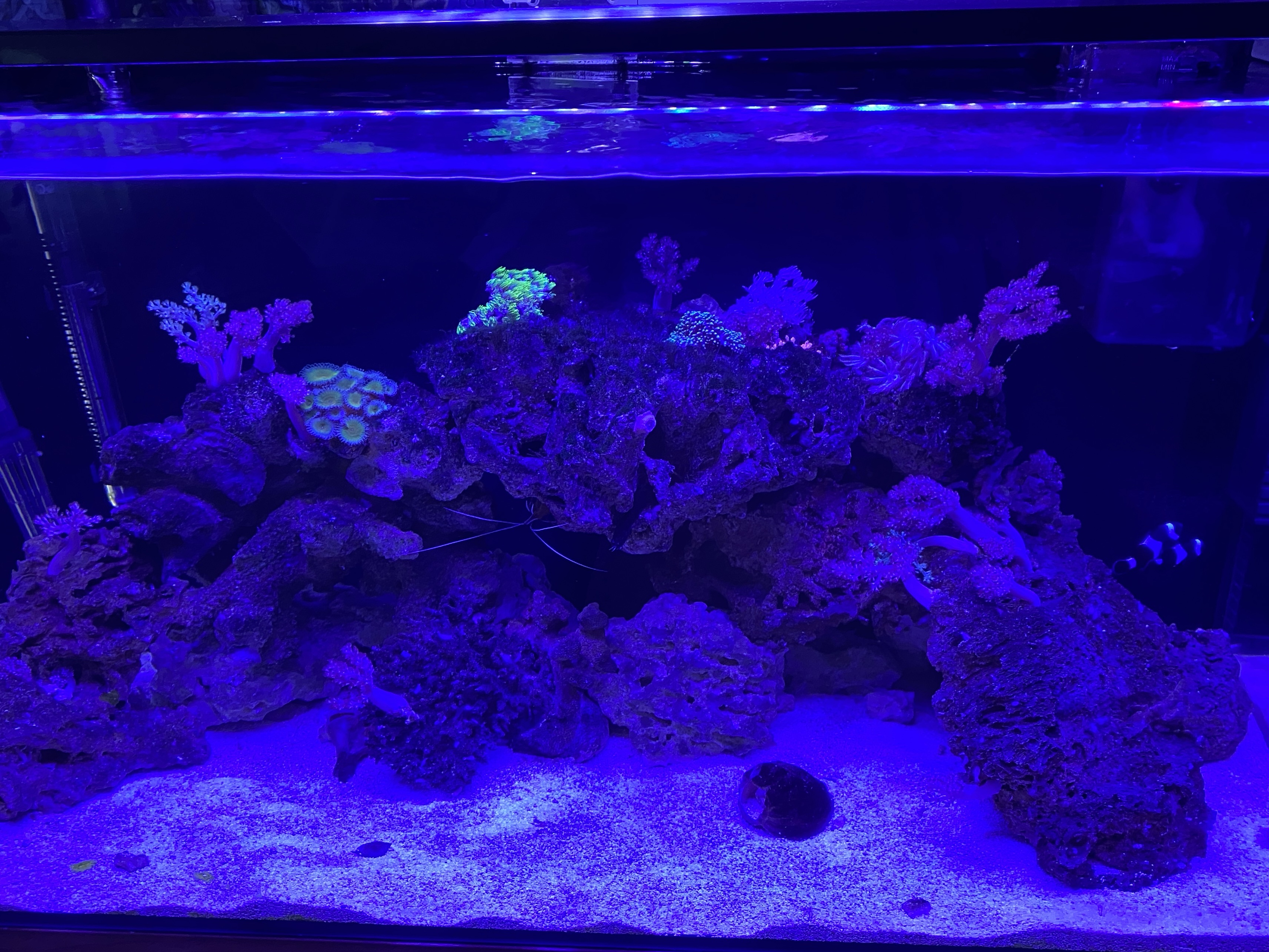Tank Image