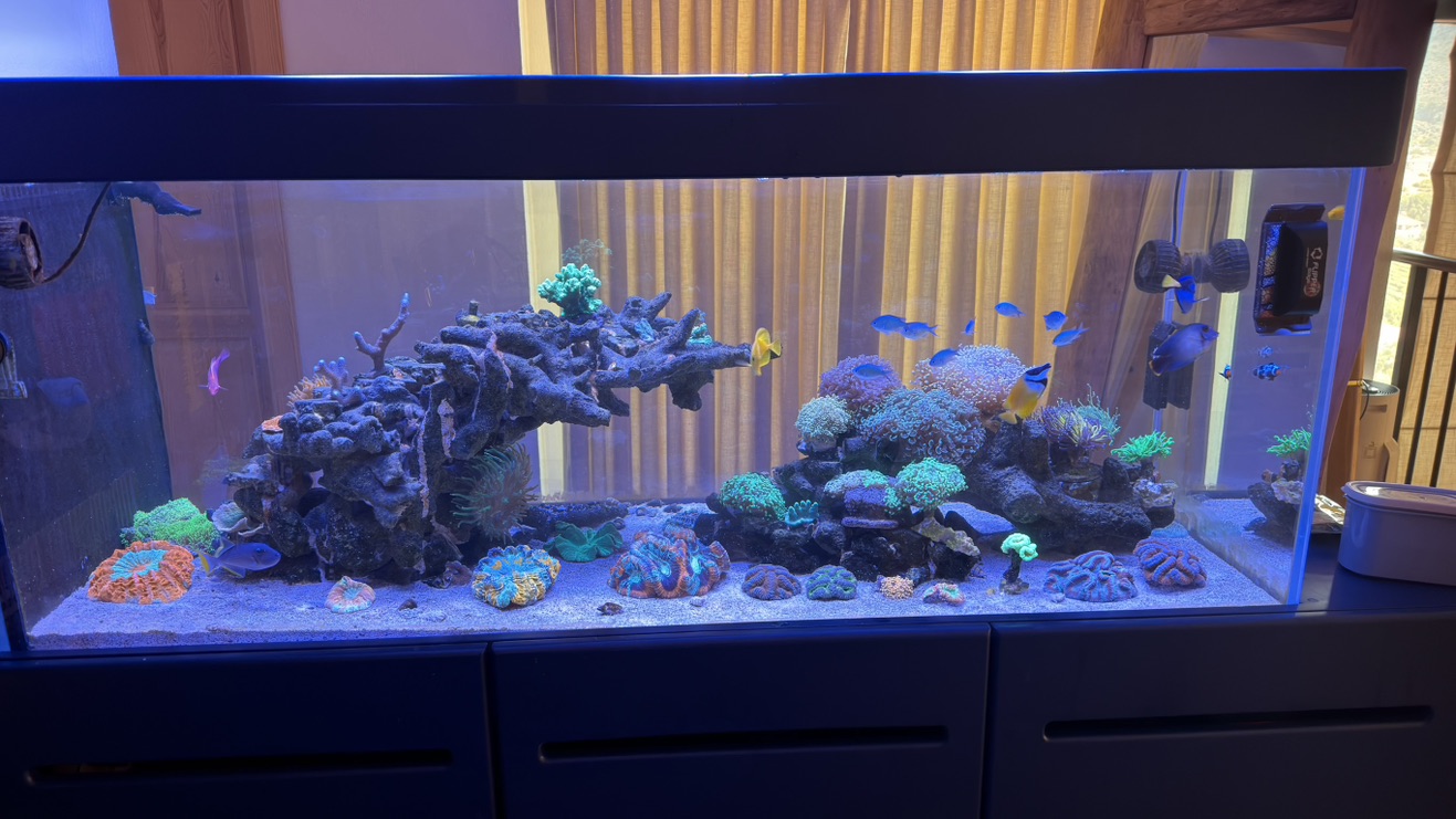 Tank Image