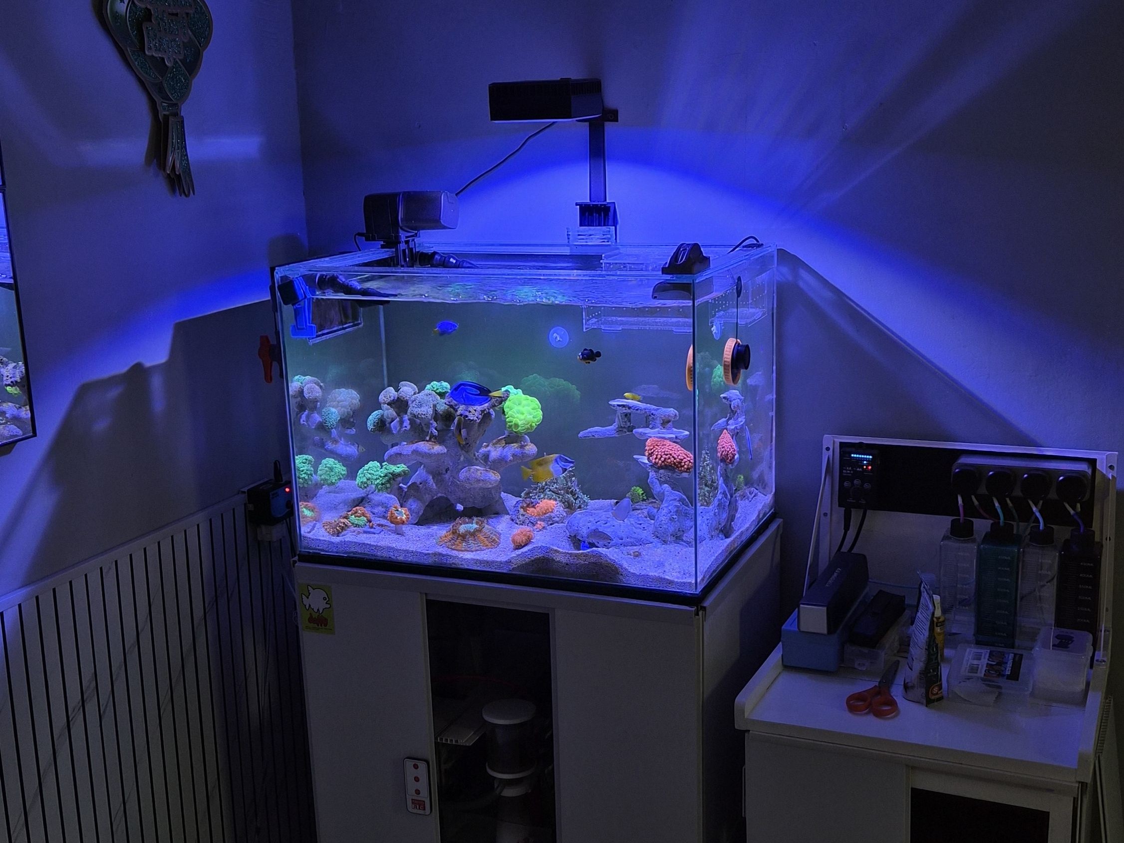 Tank Image