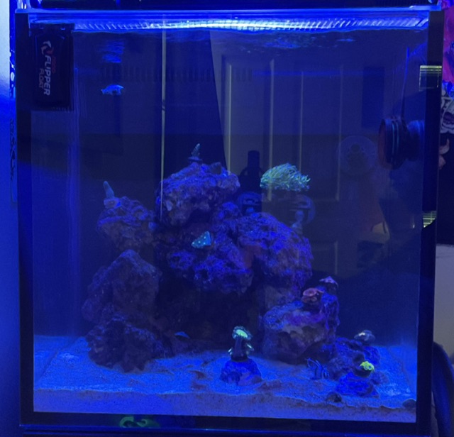 Tank Image