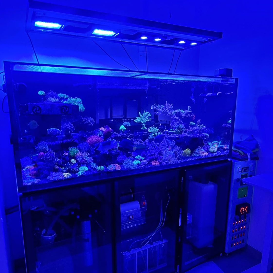 Tank Image