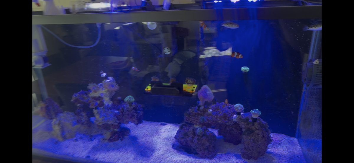 Tank Image