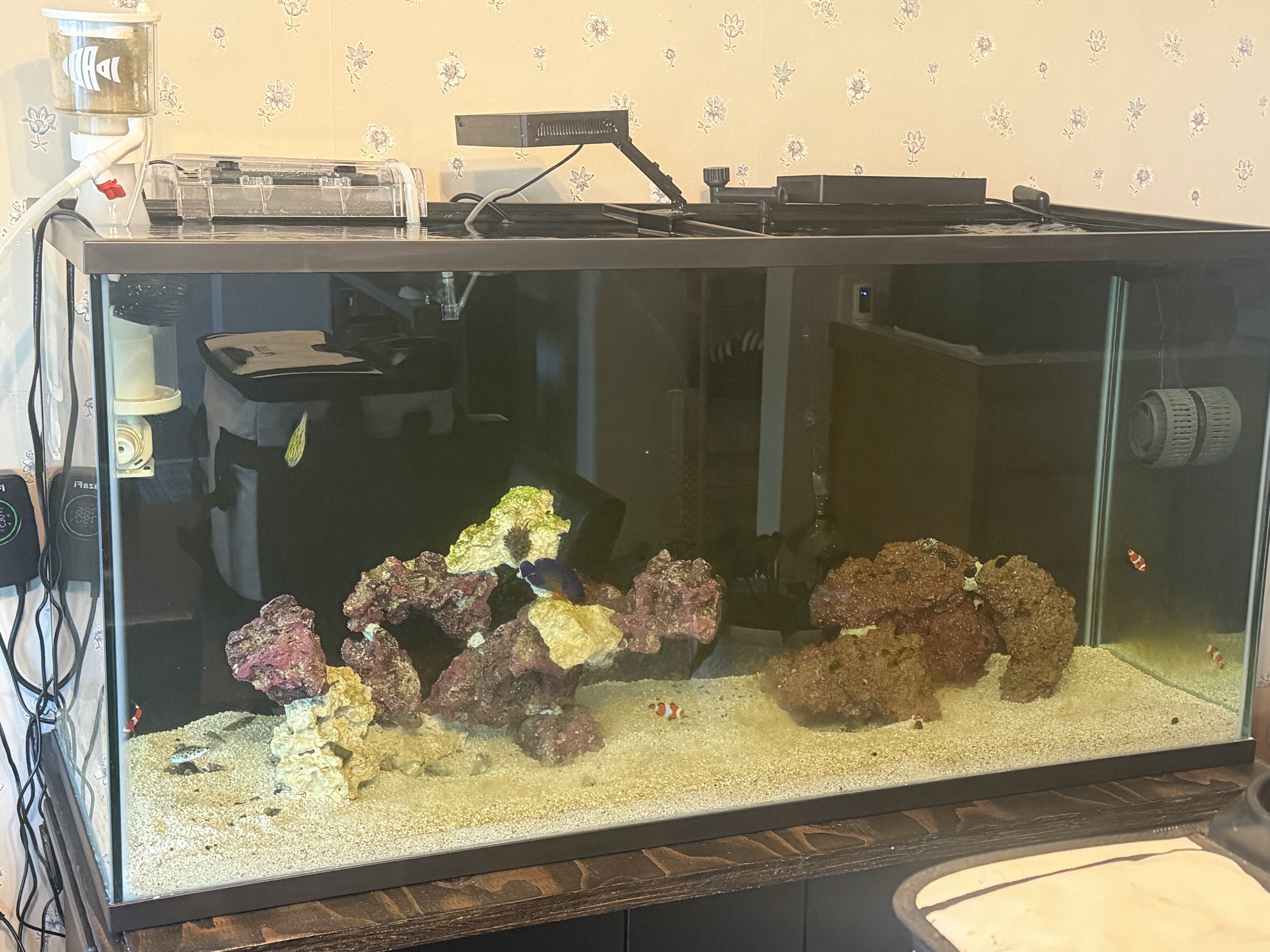 Tank Image