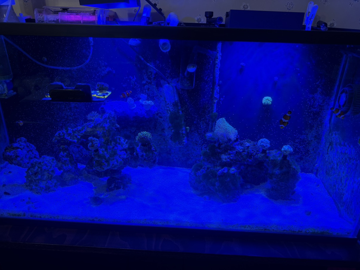 Tank Image