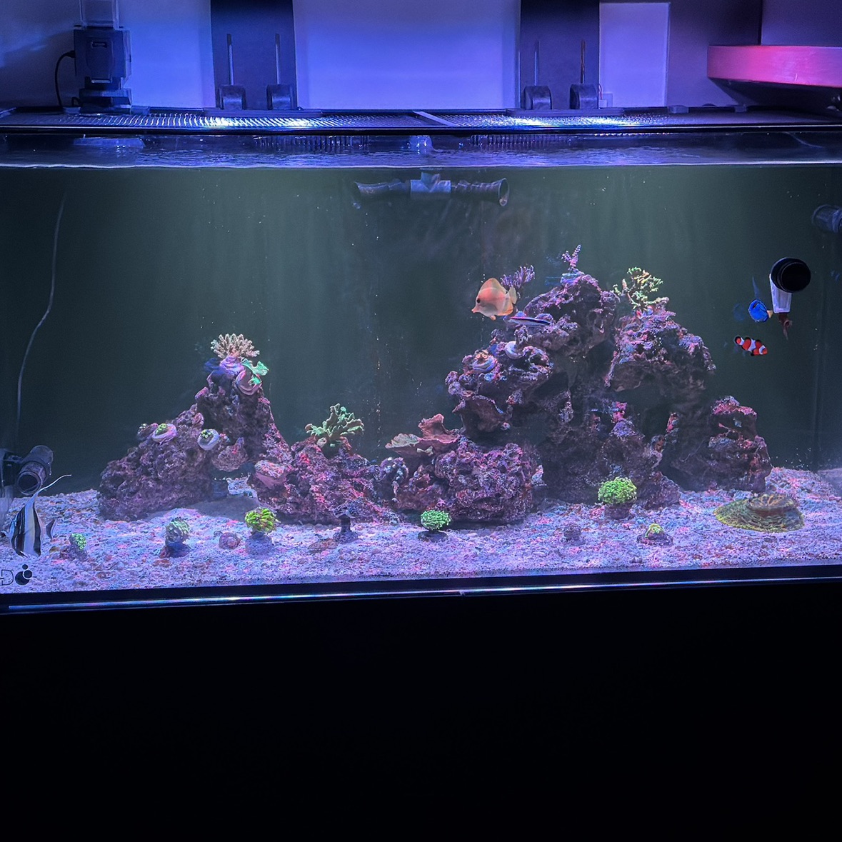 Tank Image