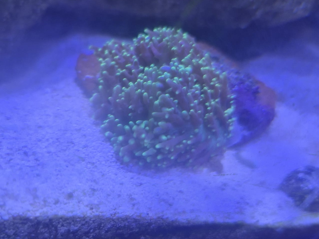 Tank Image