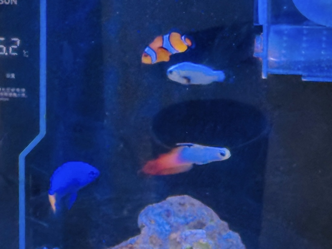 Tank Image
