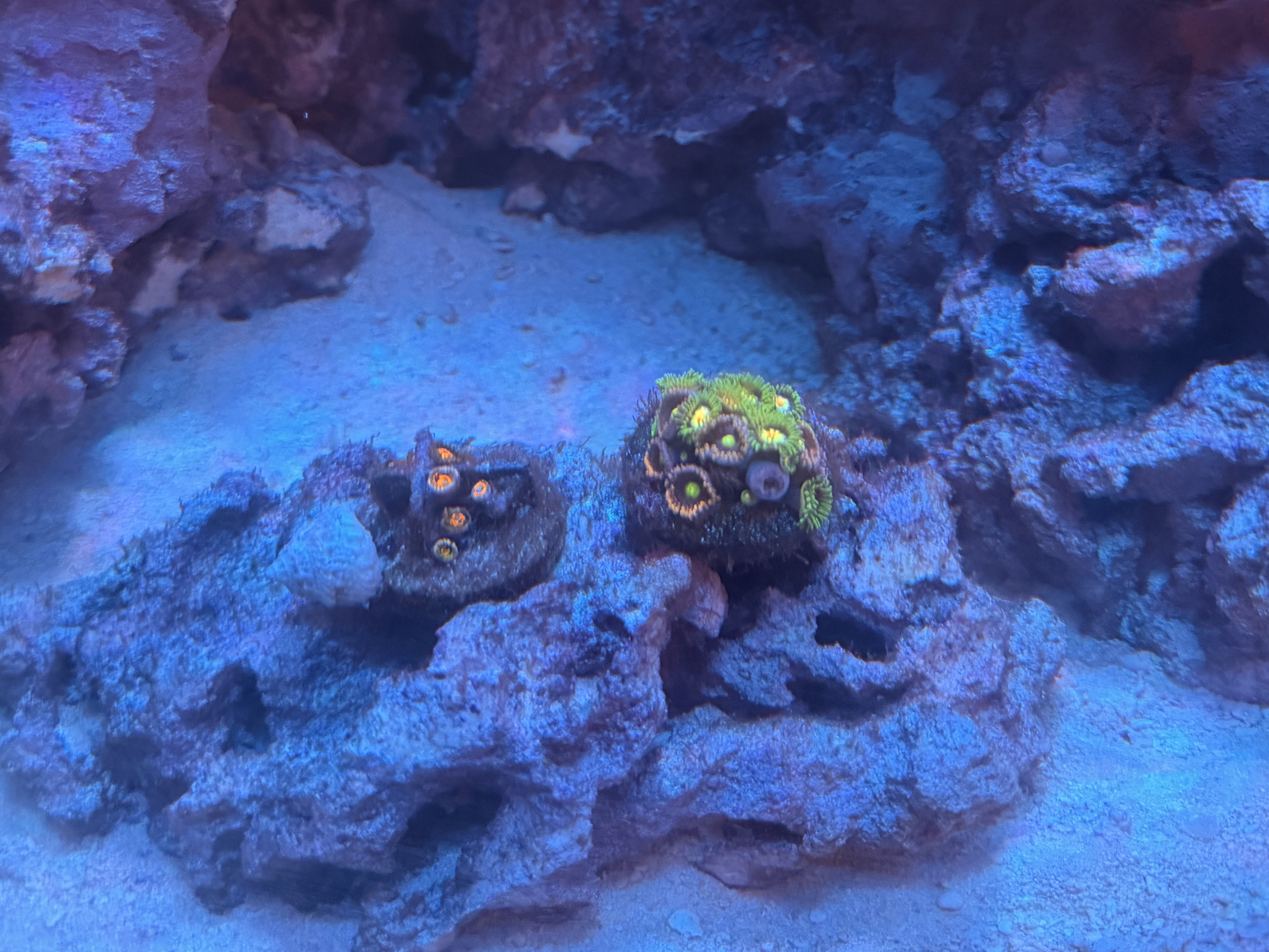 Tank Image