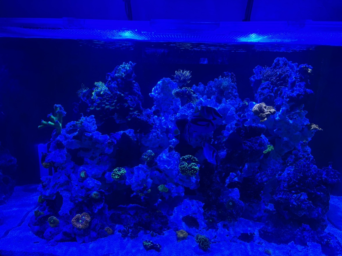 Tank Image