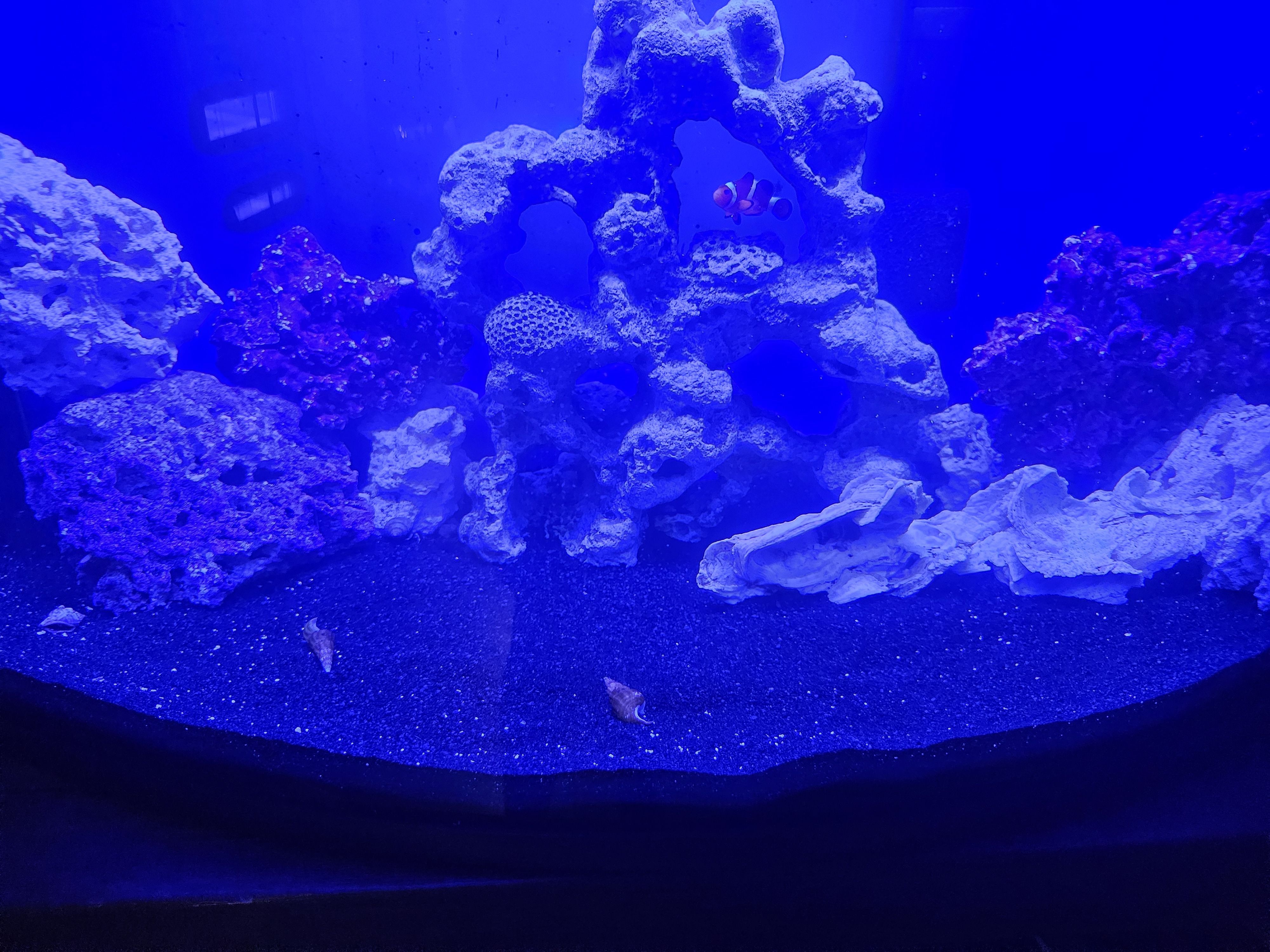 Tank Image