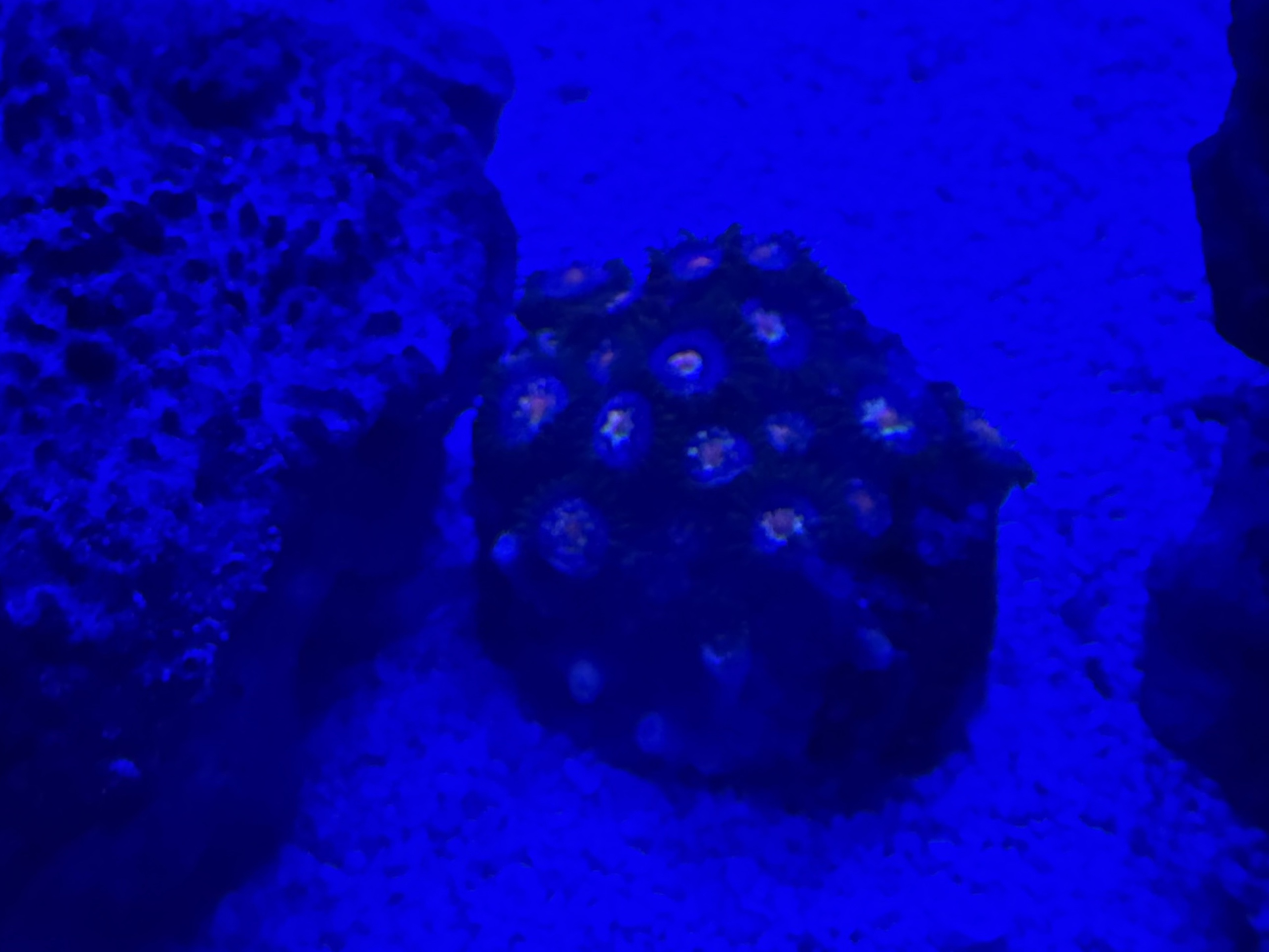 Tank Image
