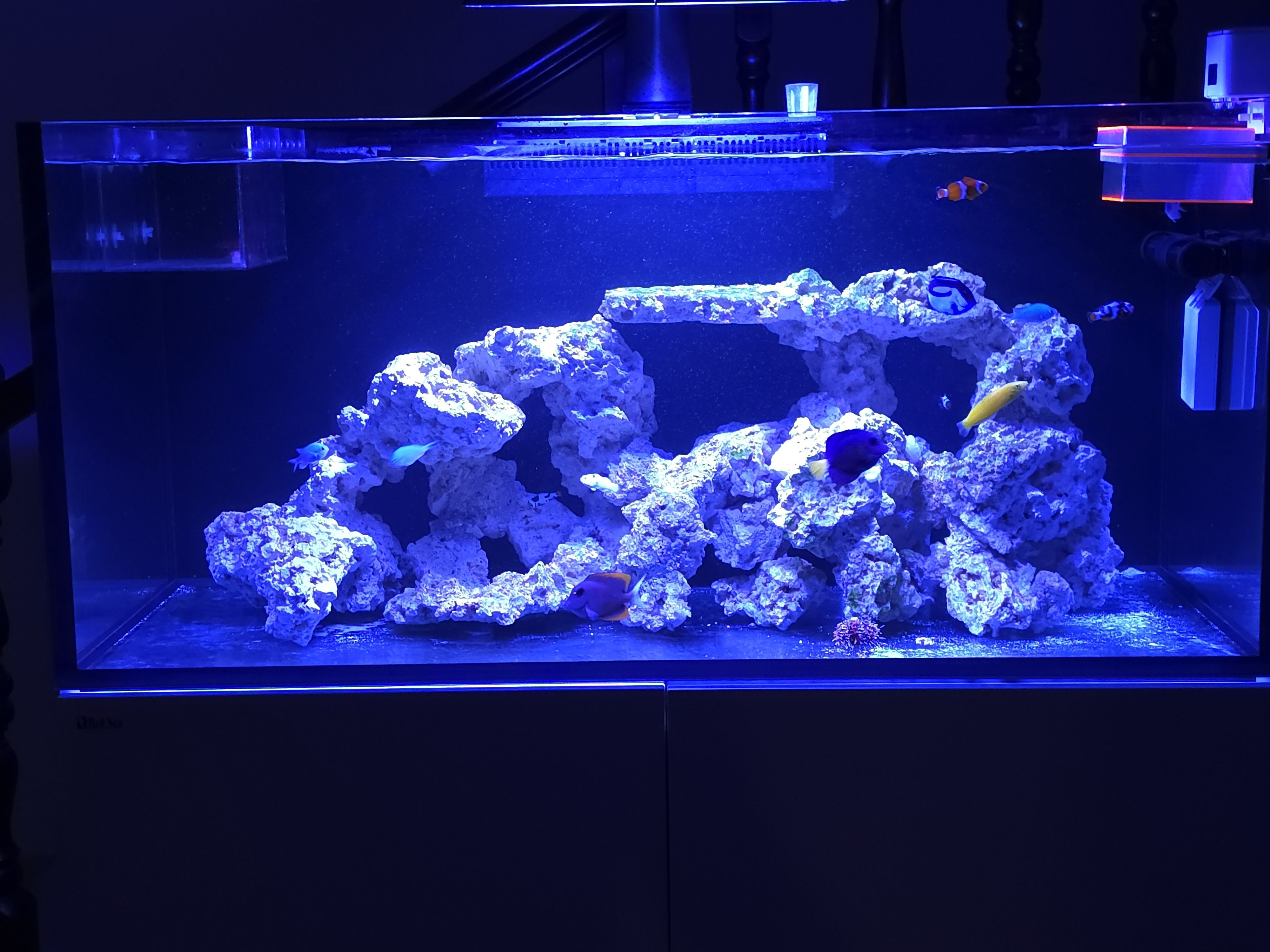 Tank Image