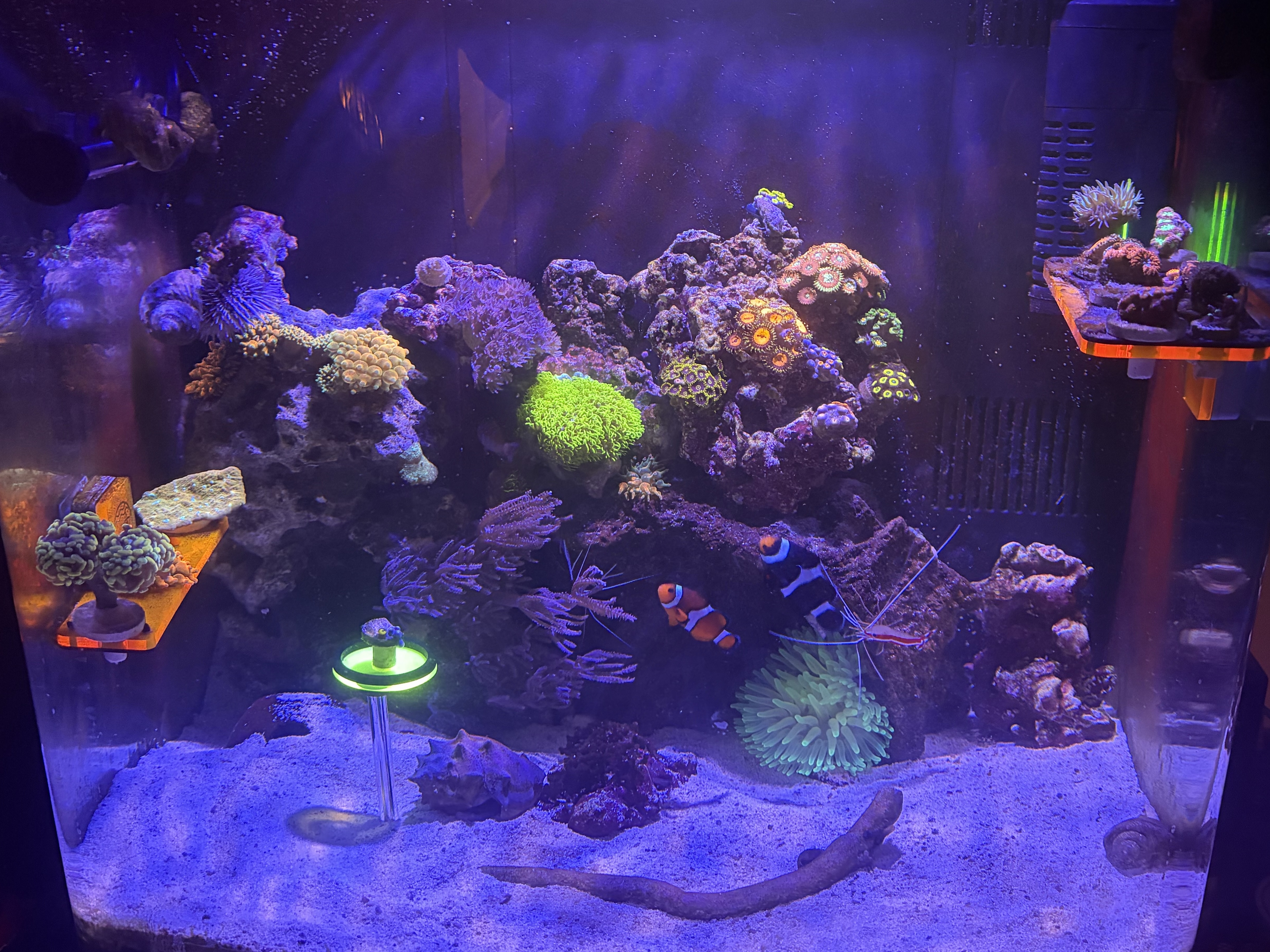 Tank Image