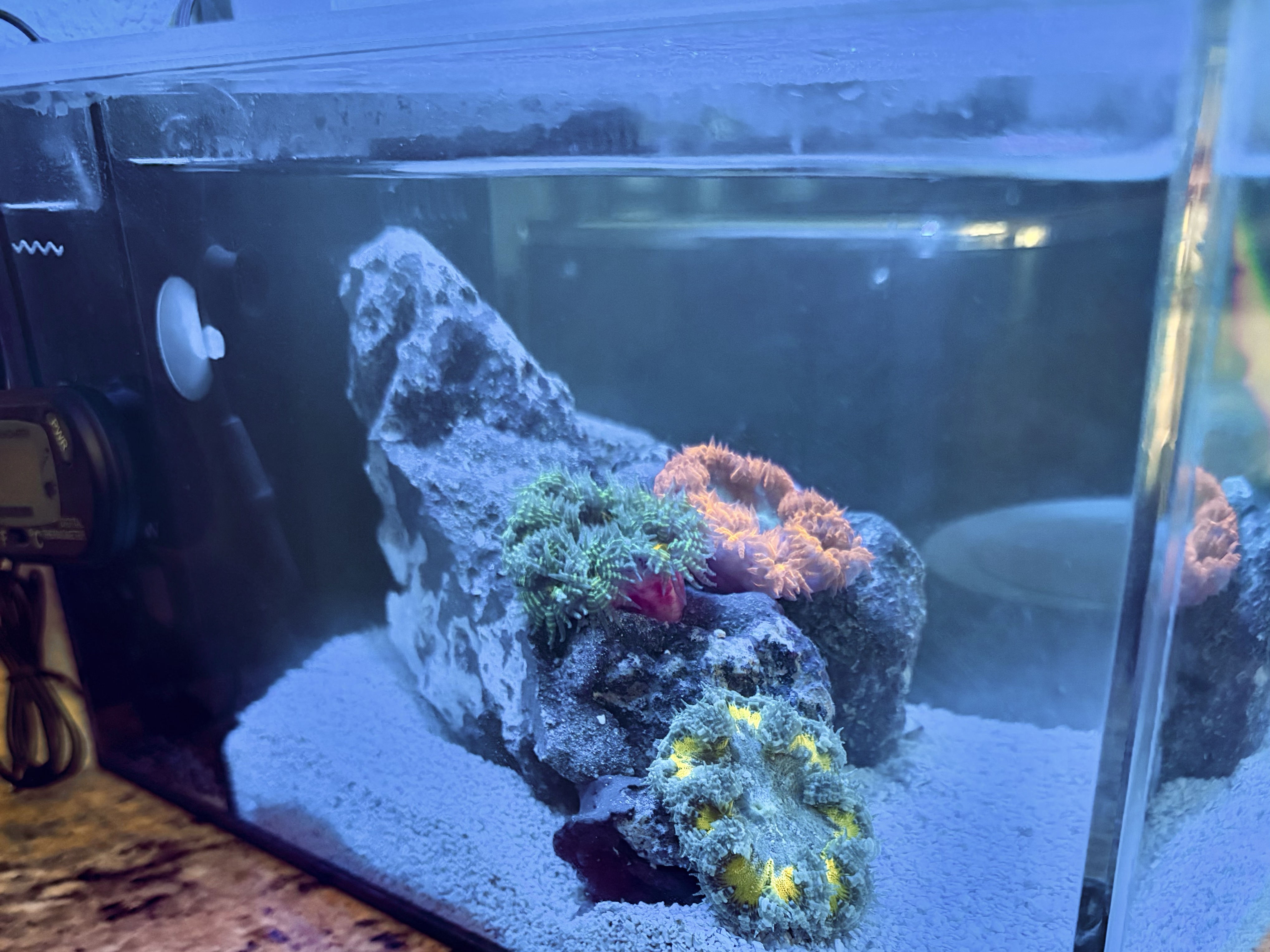 Tank Image