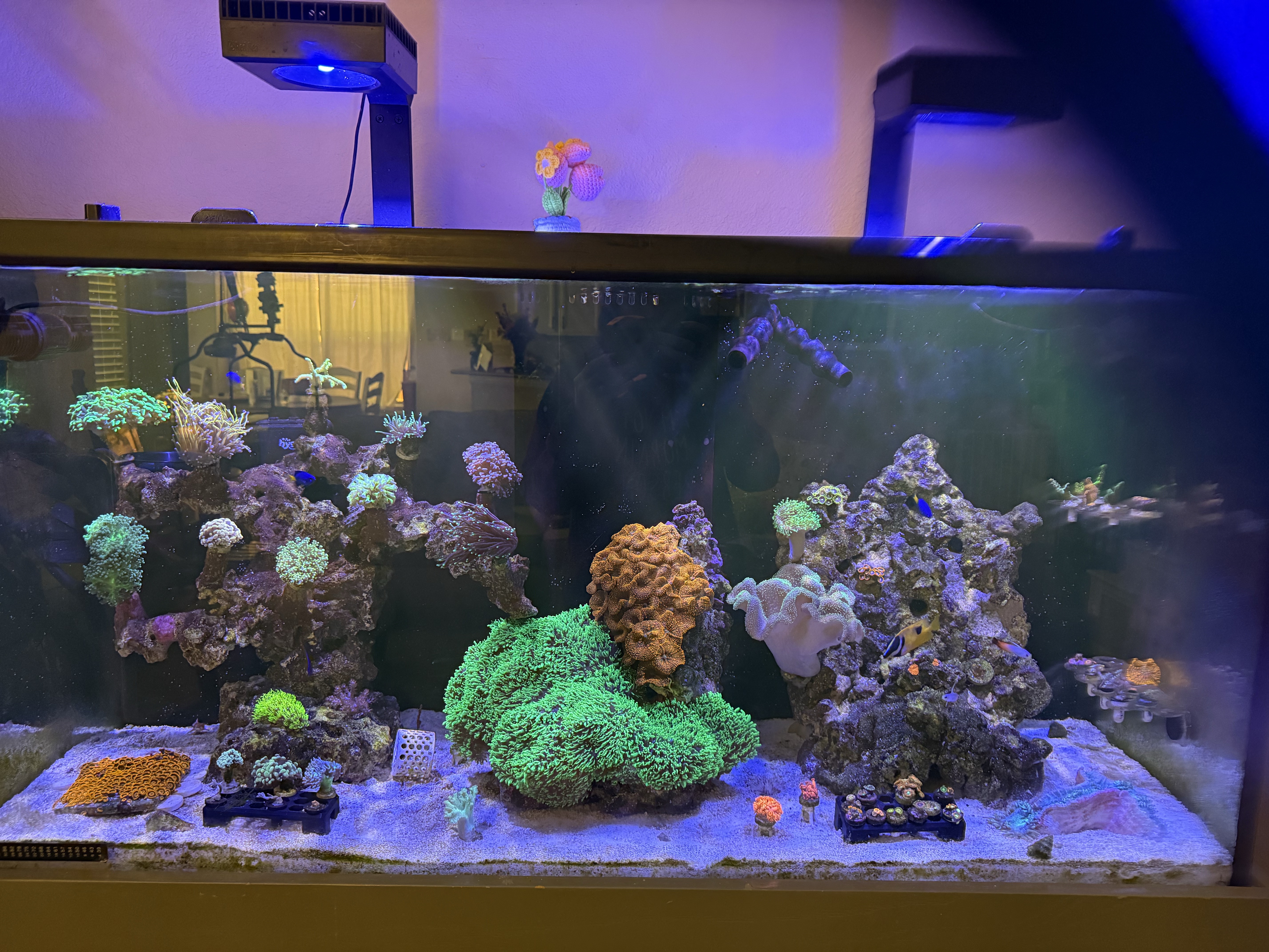 Tank Image