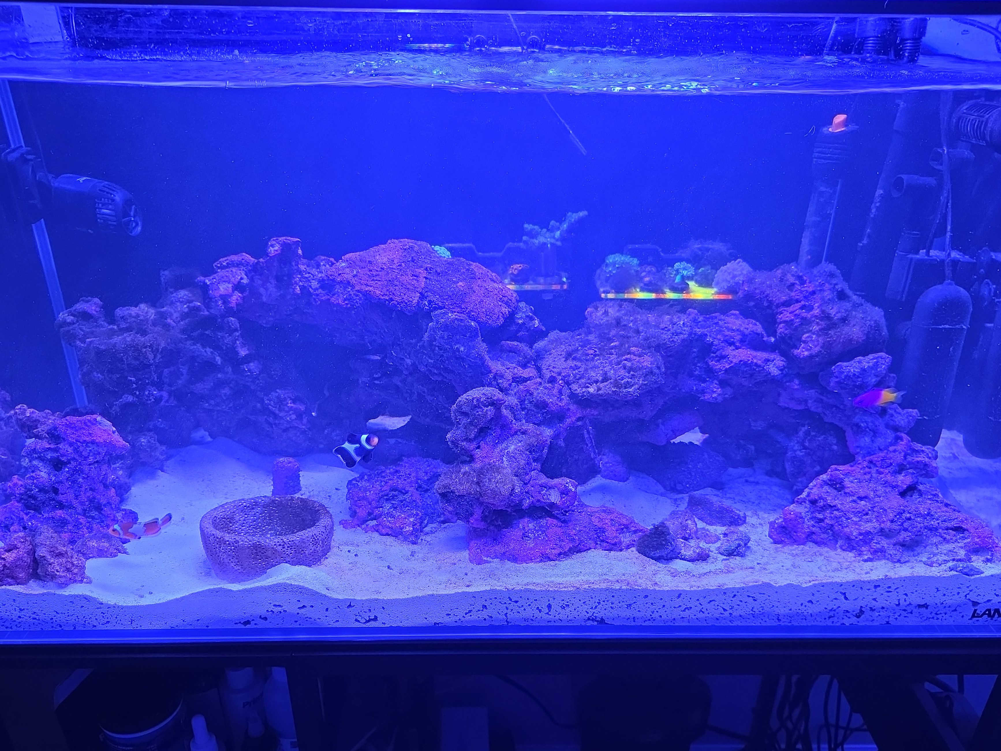 Tank Image