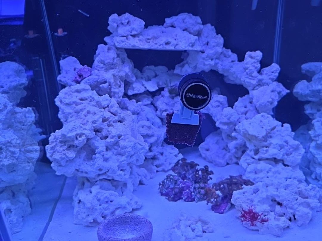 Tank Image