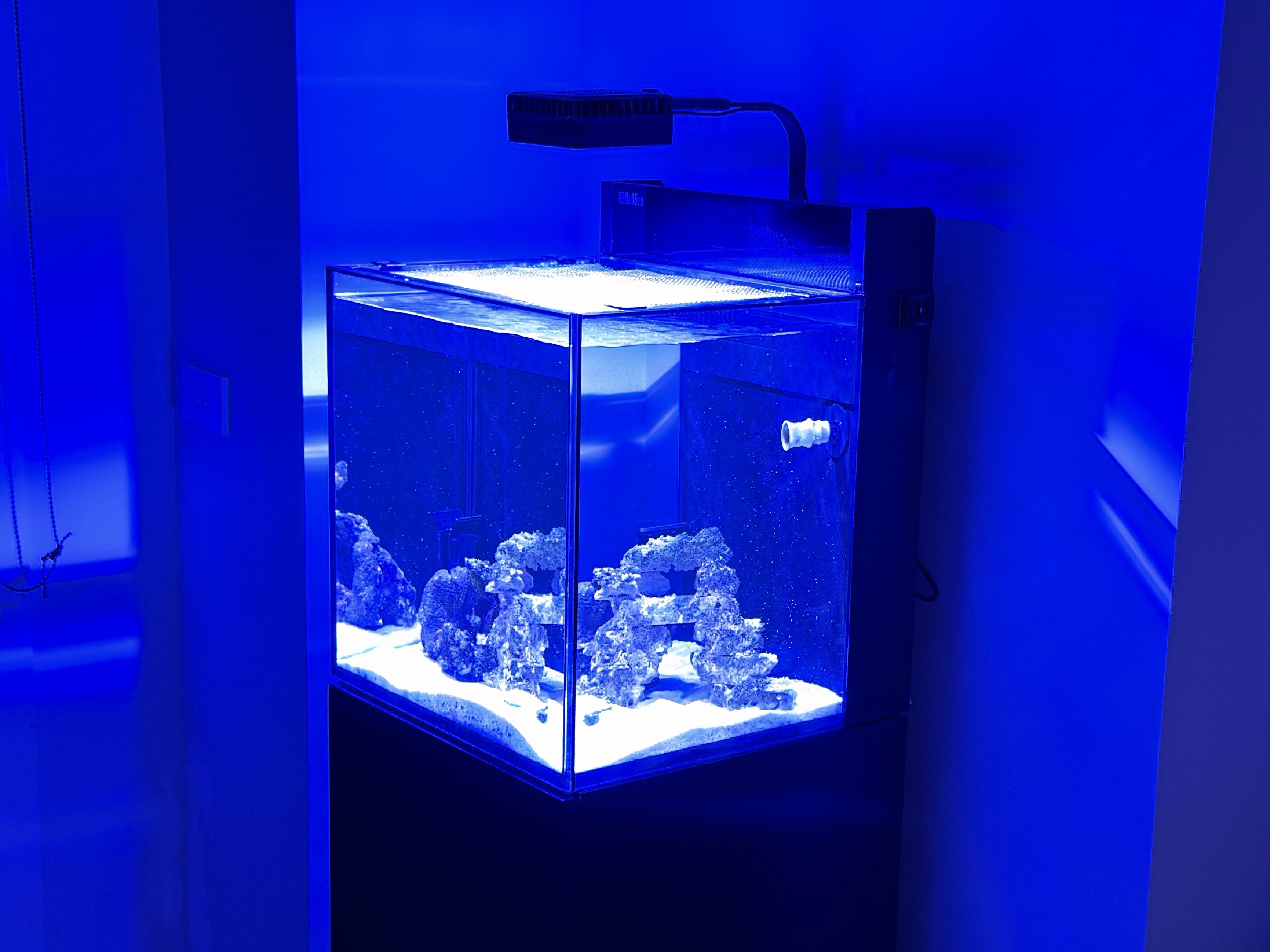 Tank Image