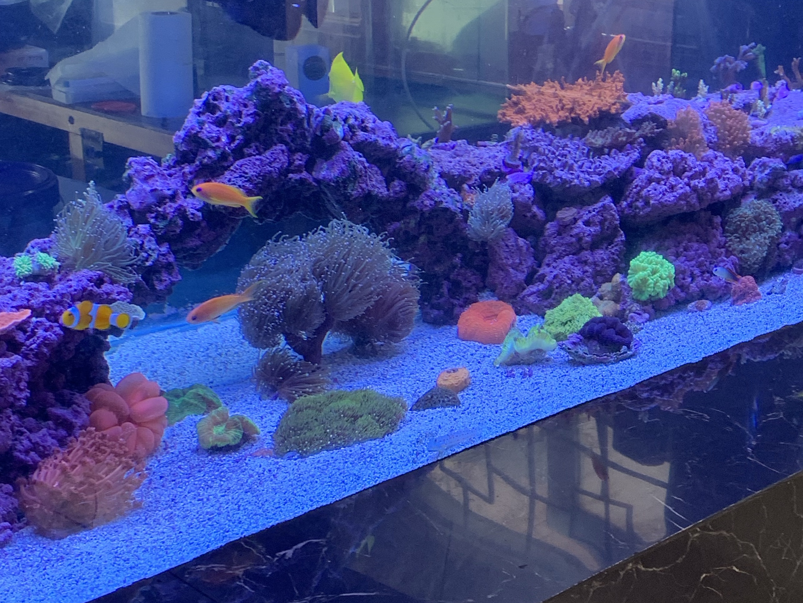Tank Image