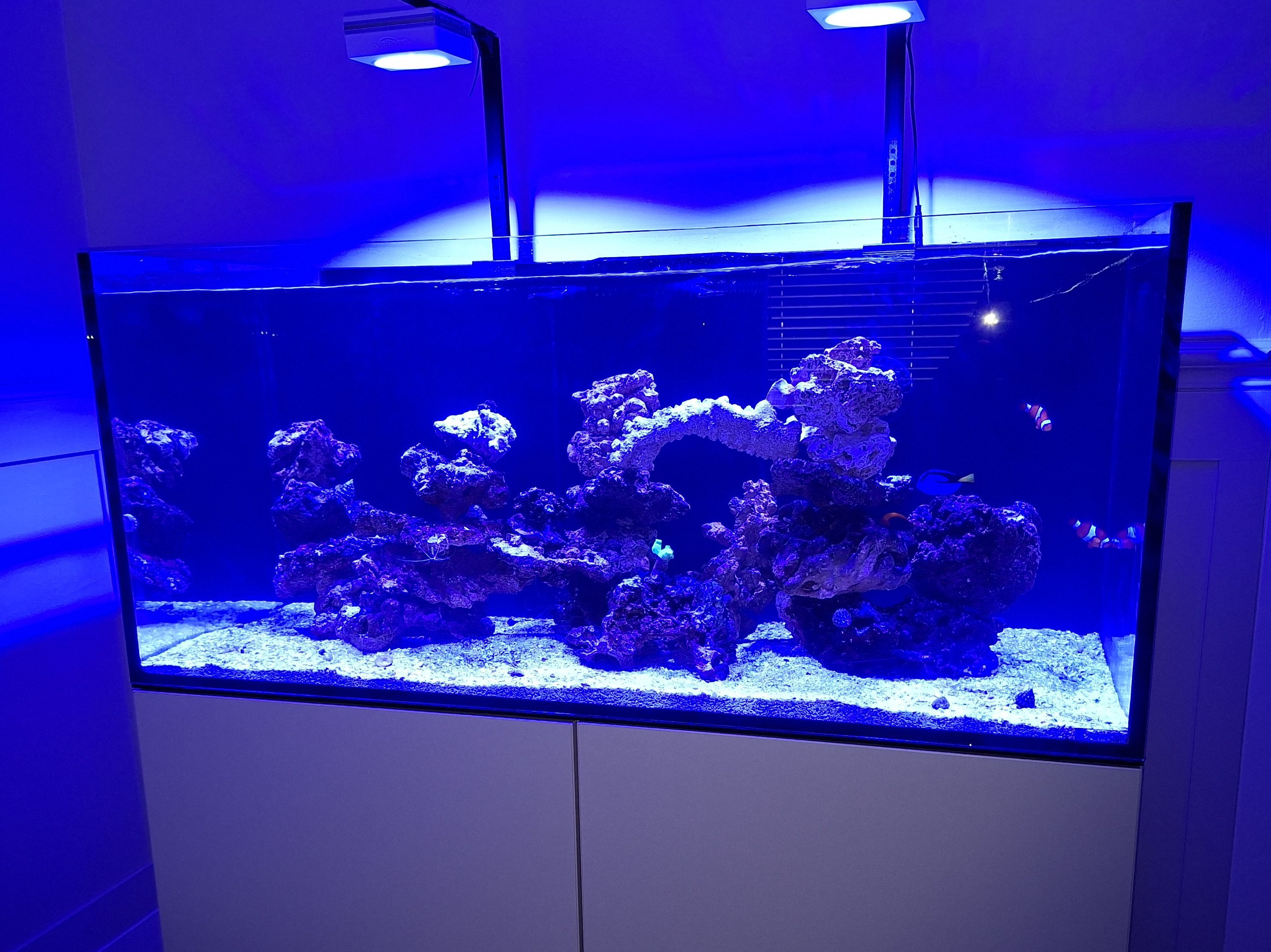 Tank Image