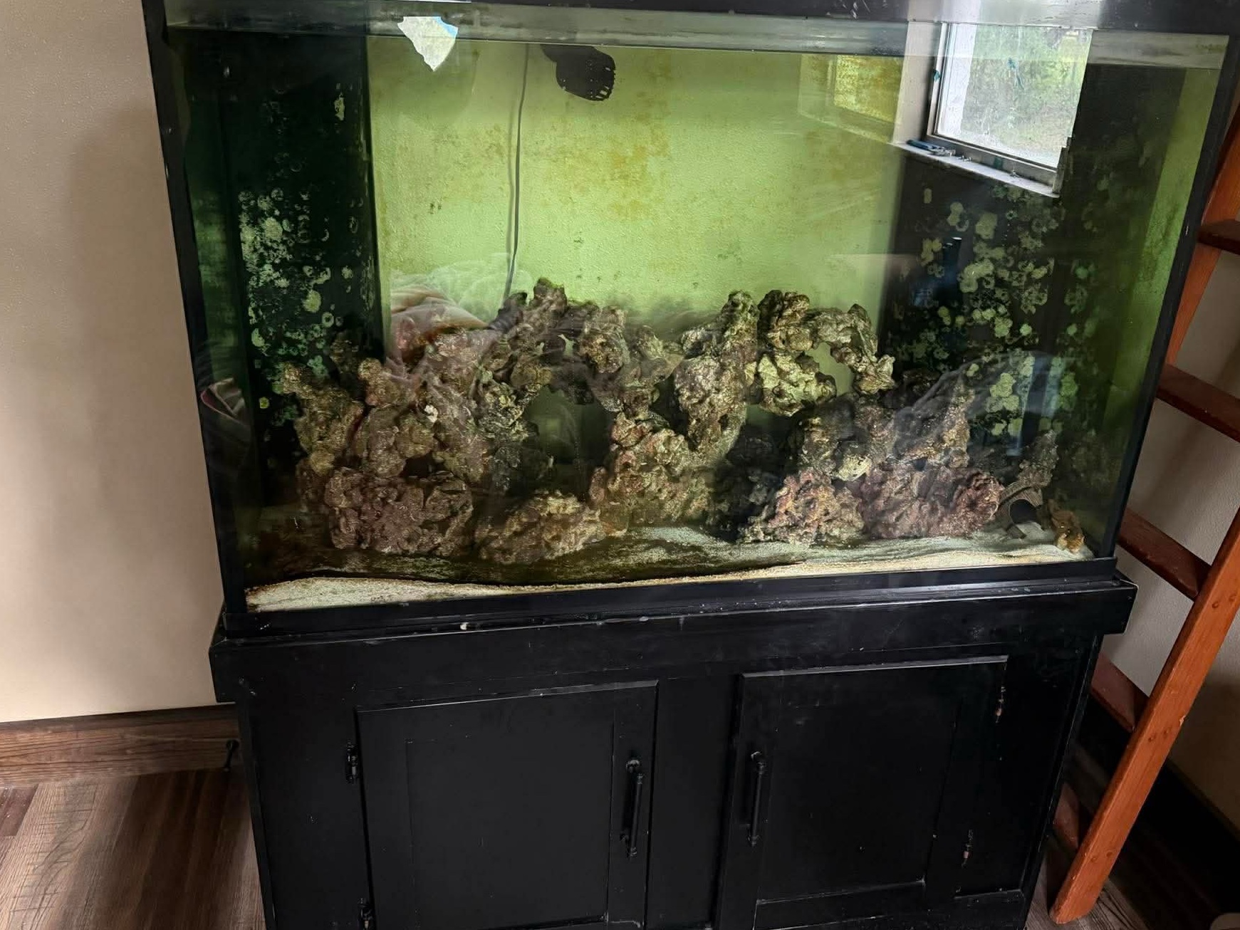 Tank Image