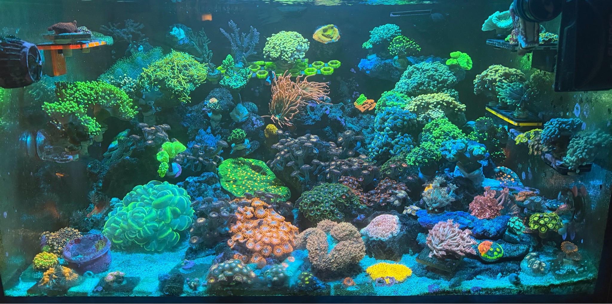 ReefBay post