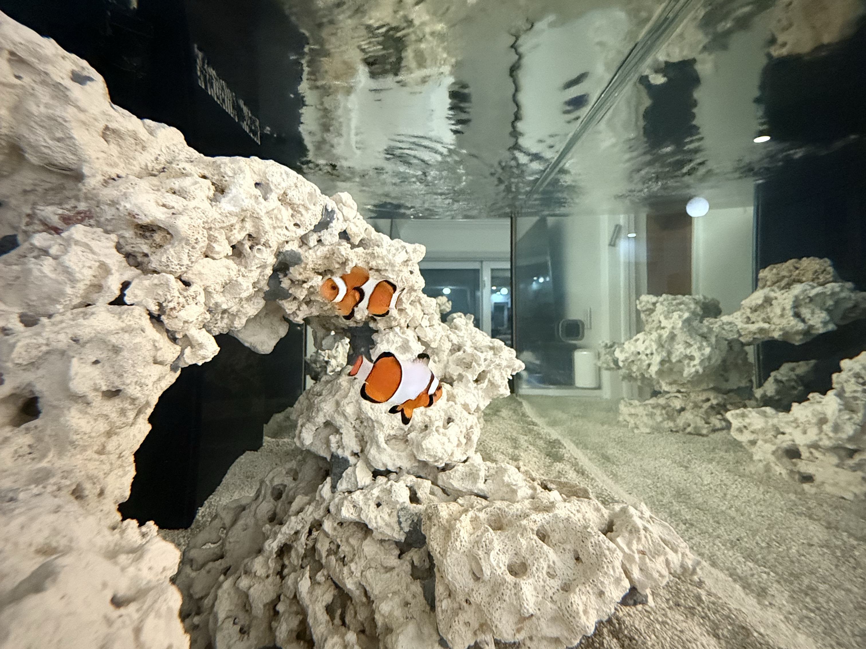 Tank Image