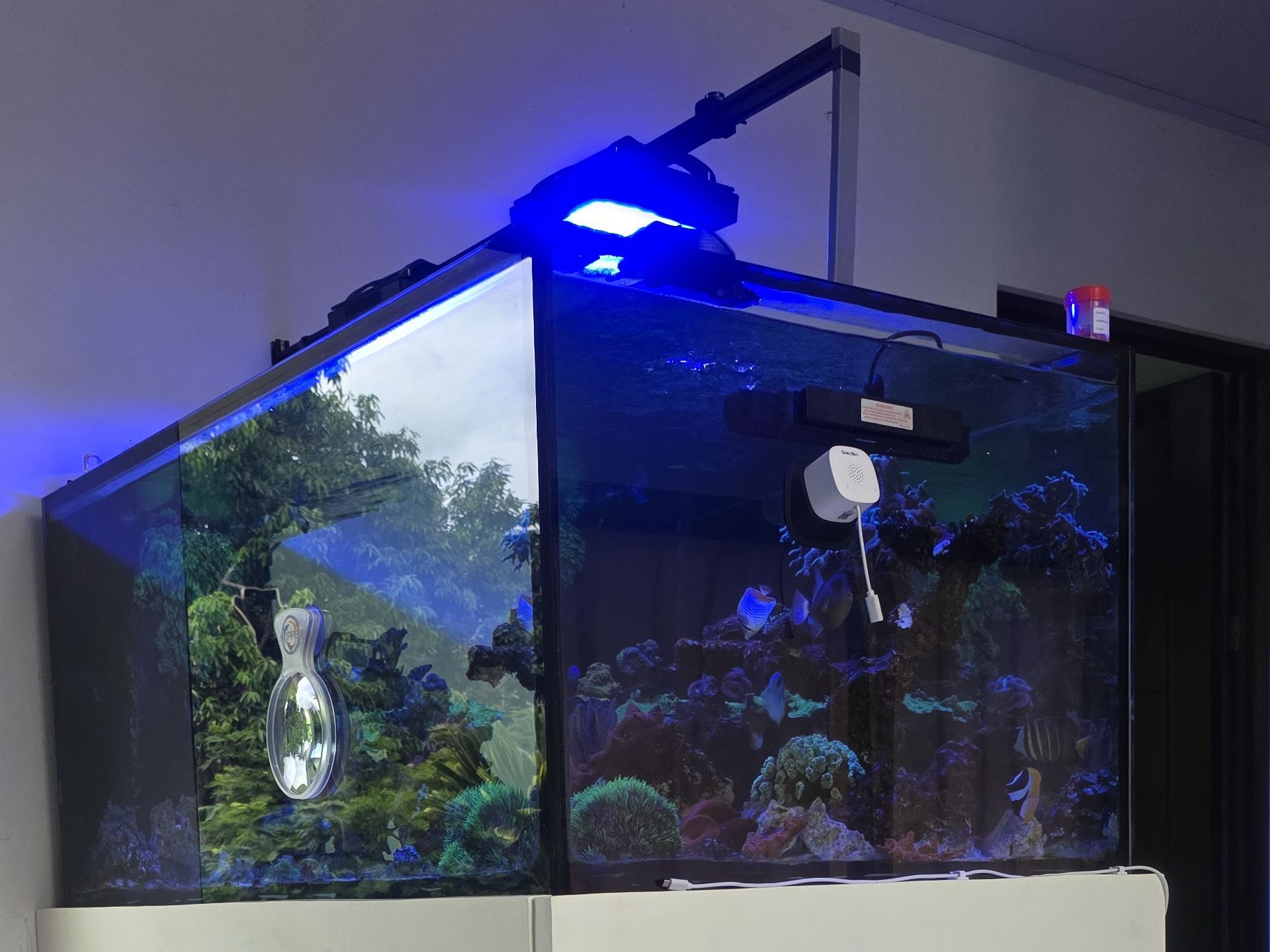Tank Image
