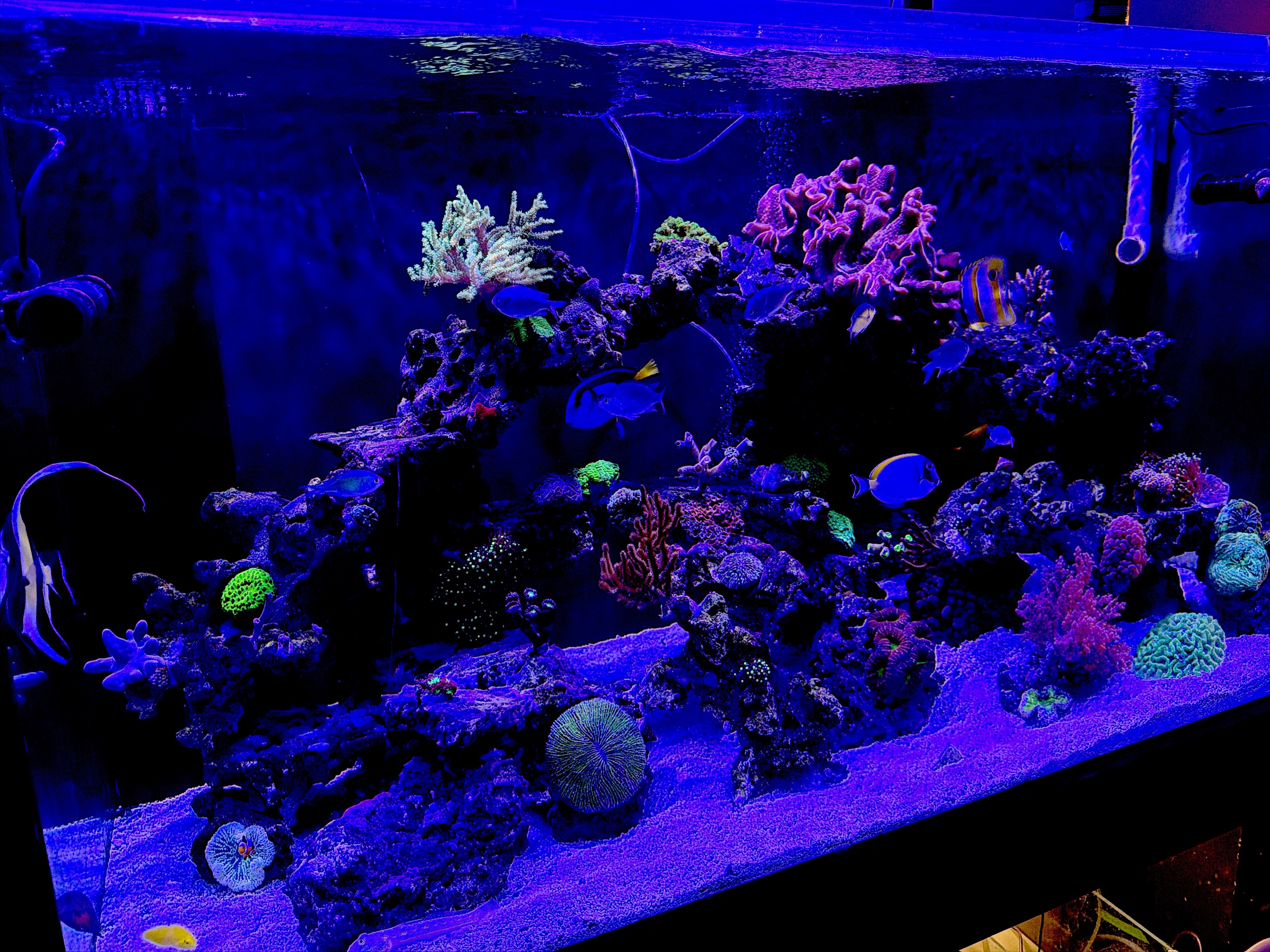 Tank Image