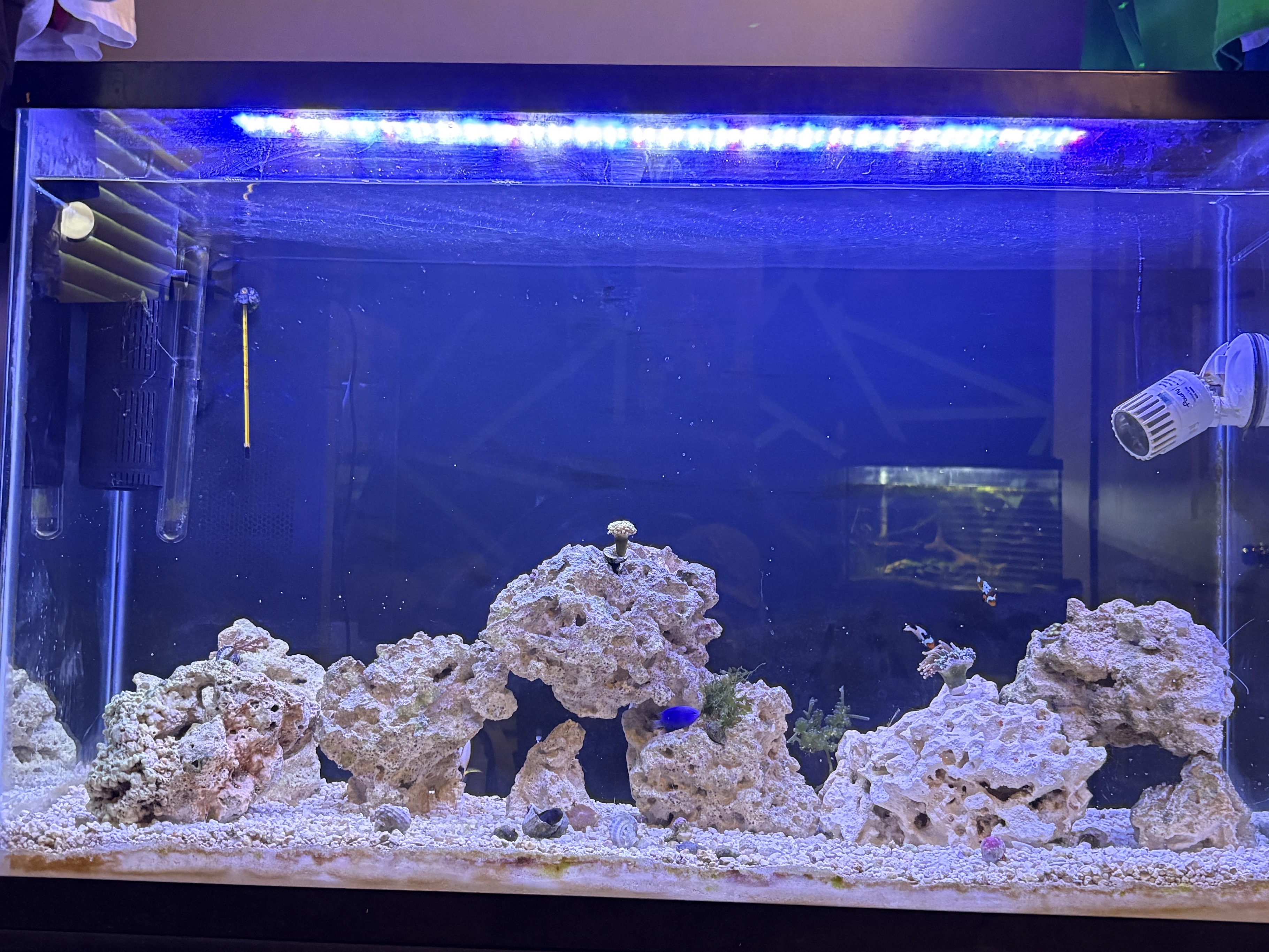 Tank Image