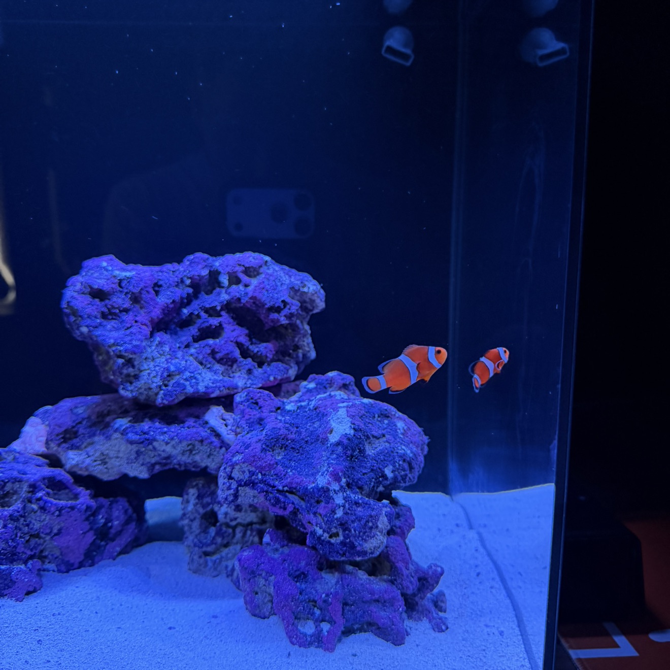 Tank Image