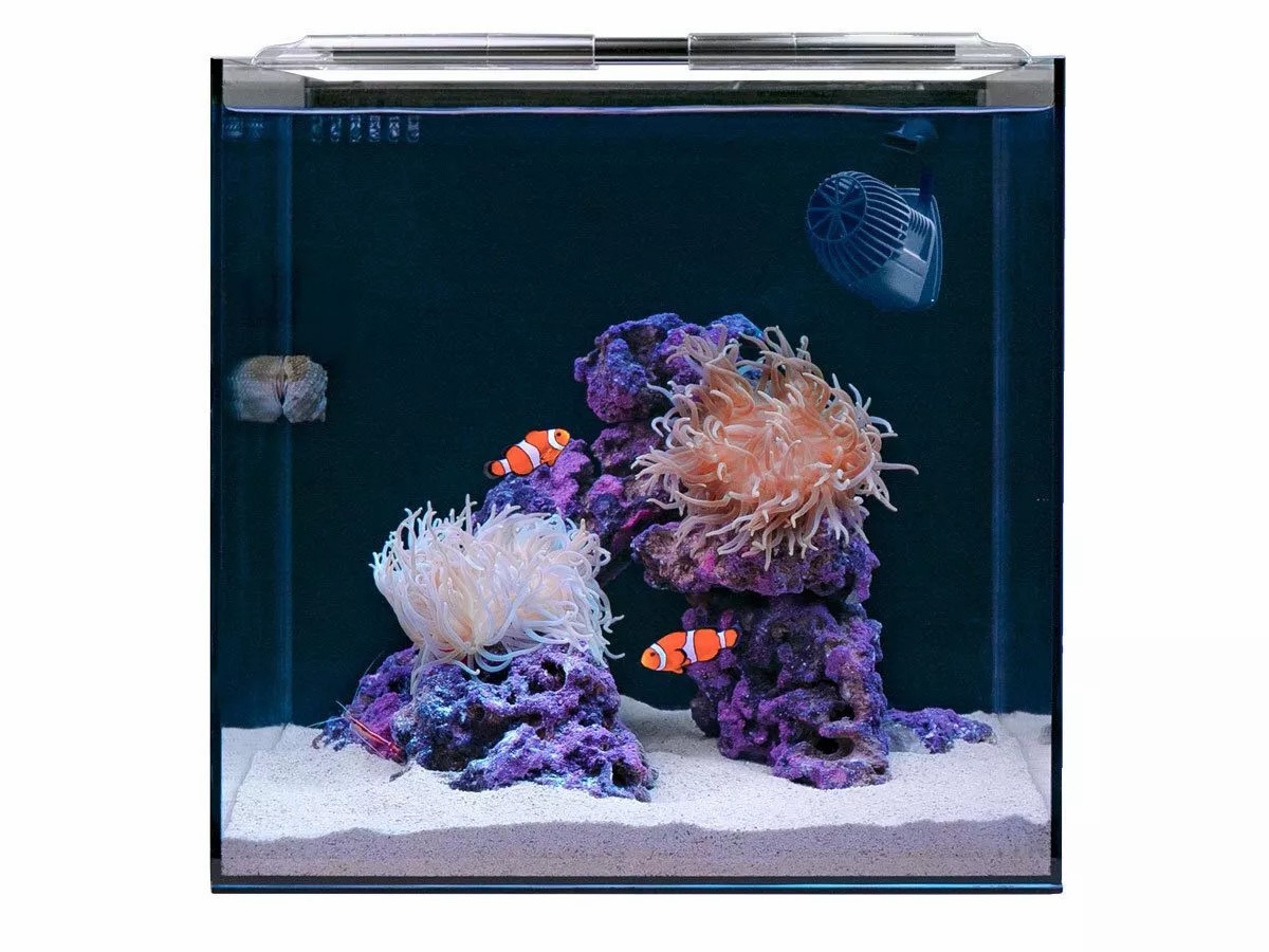 Tank Image