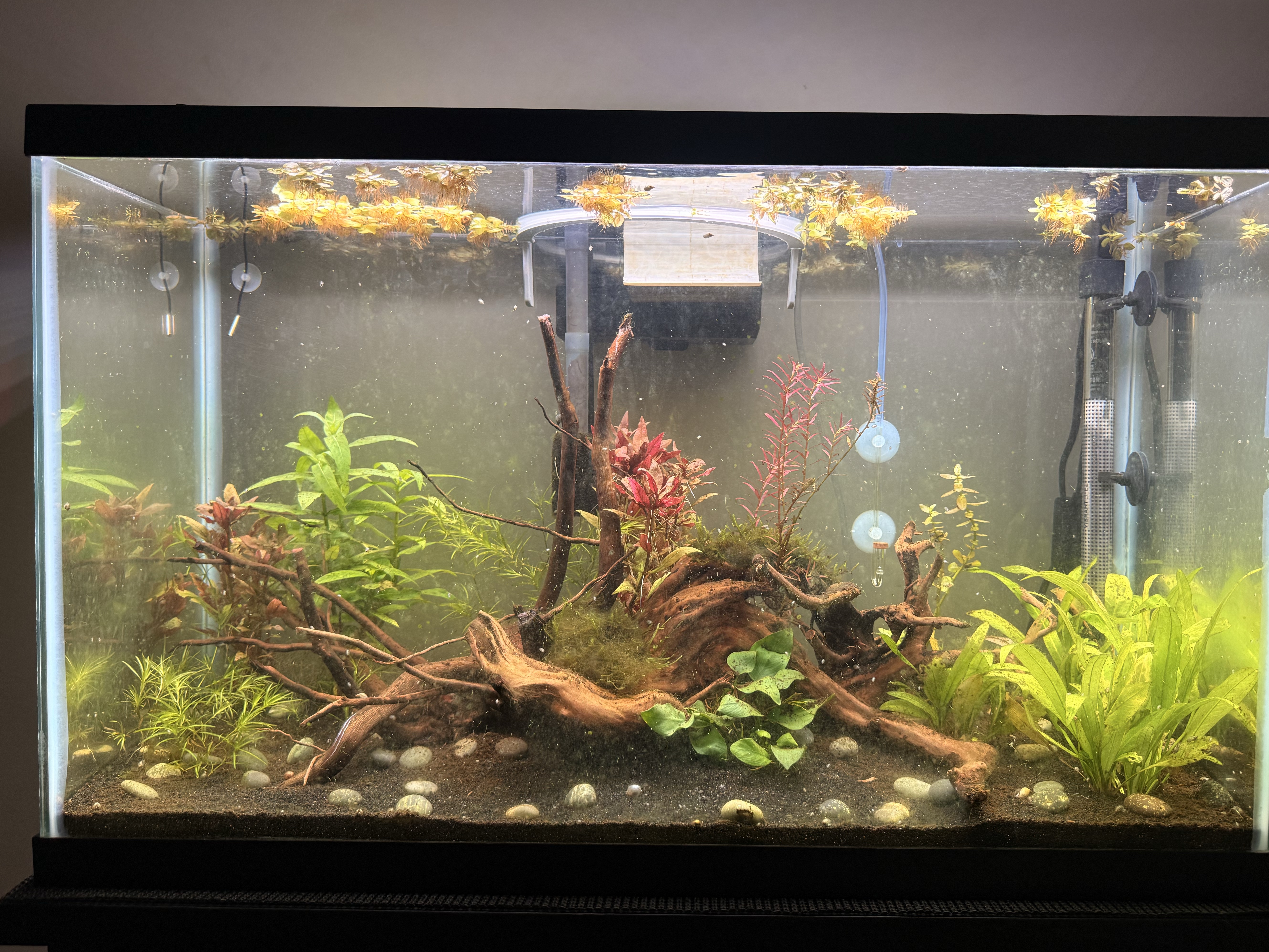 Tank Image