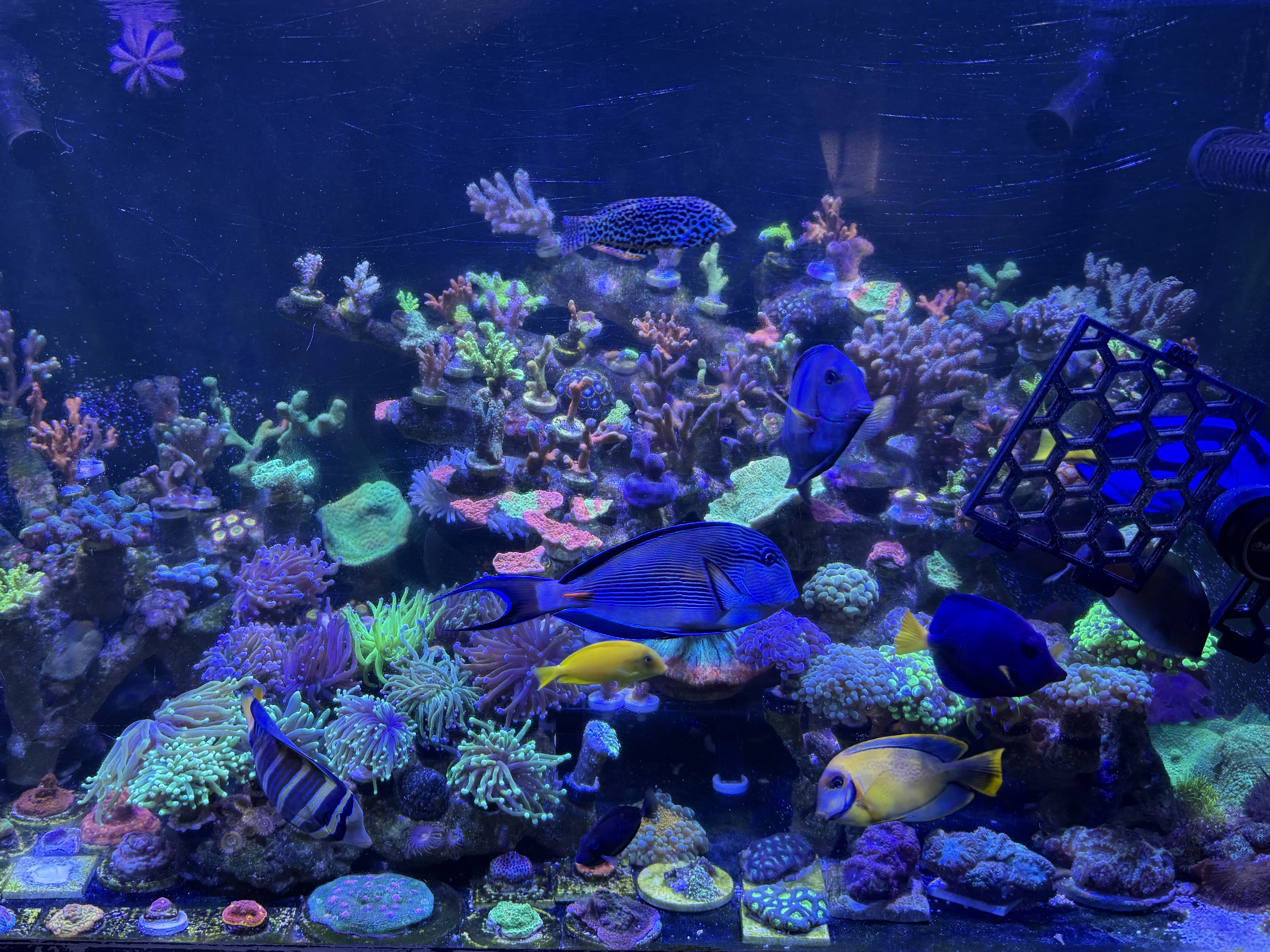 Tank Image