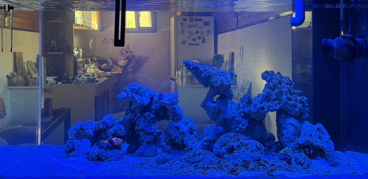 Tank Image