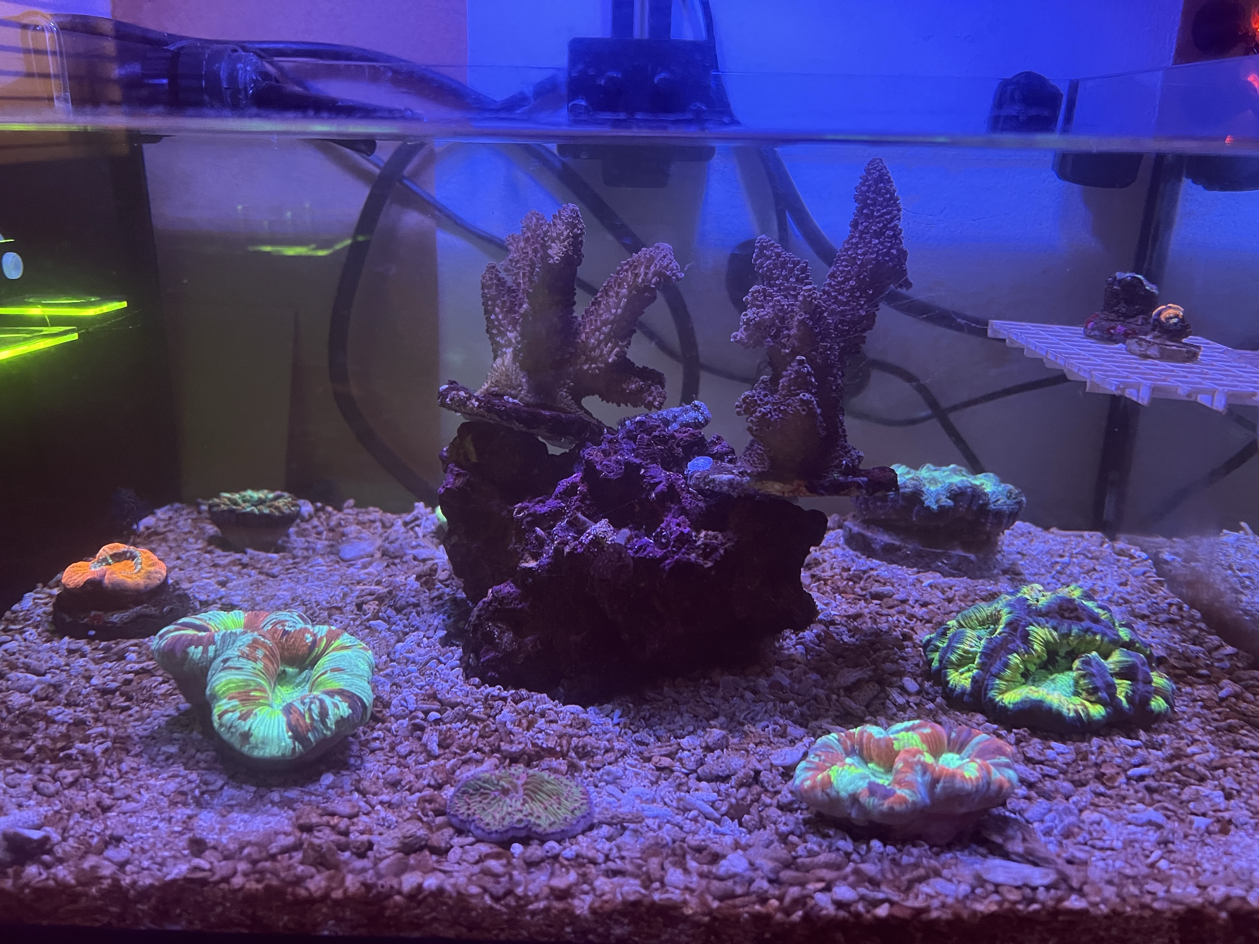 Tank Image