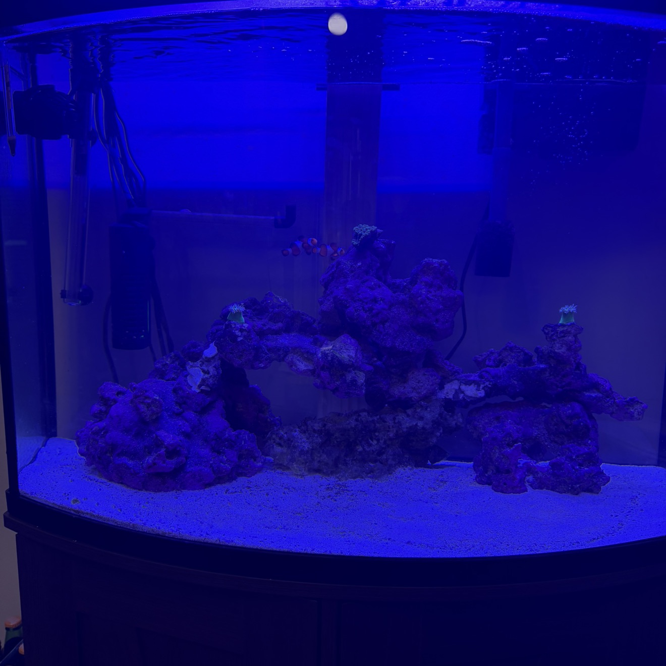 Tank Image