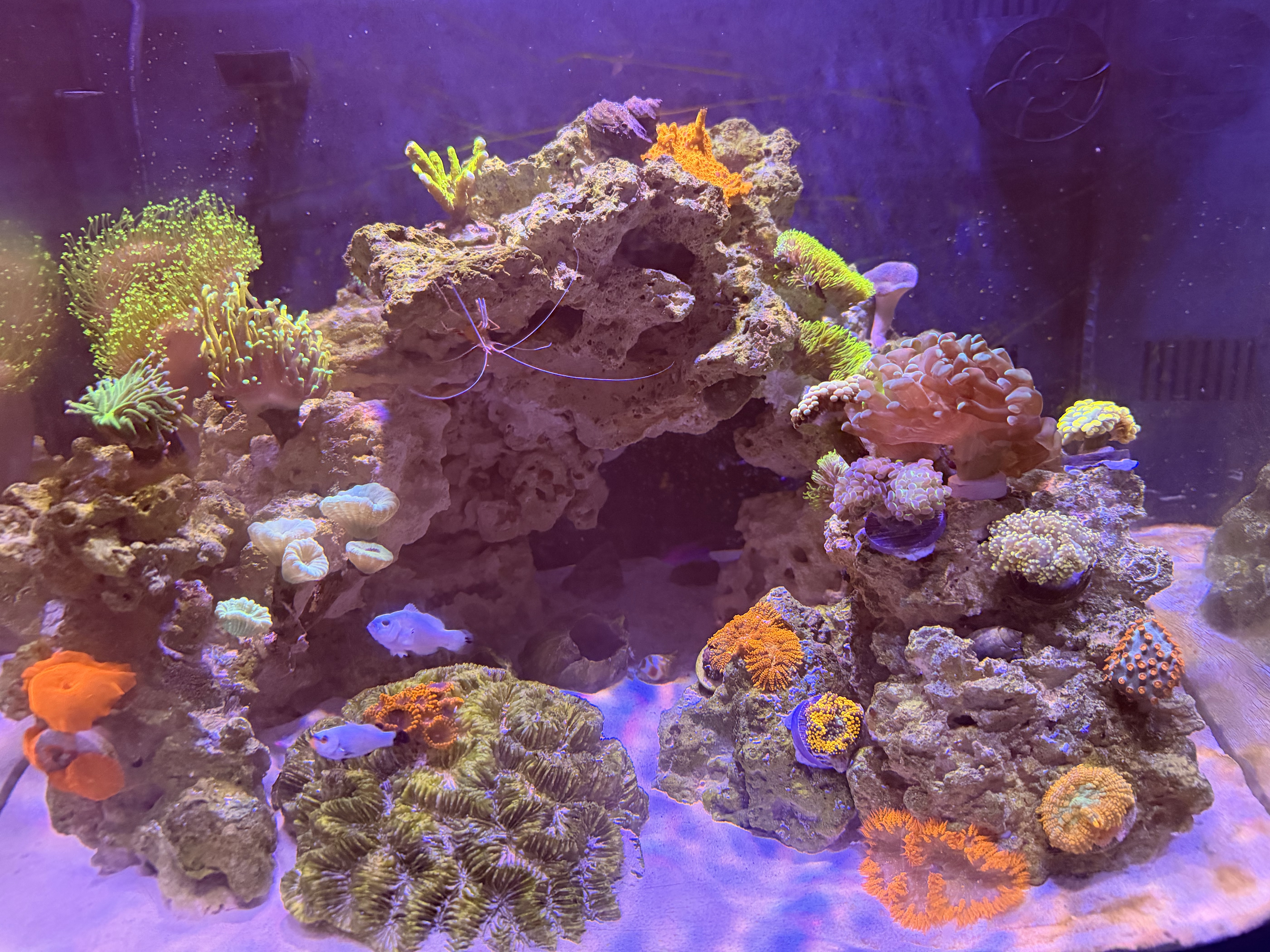 Tank Image