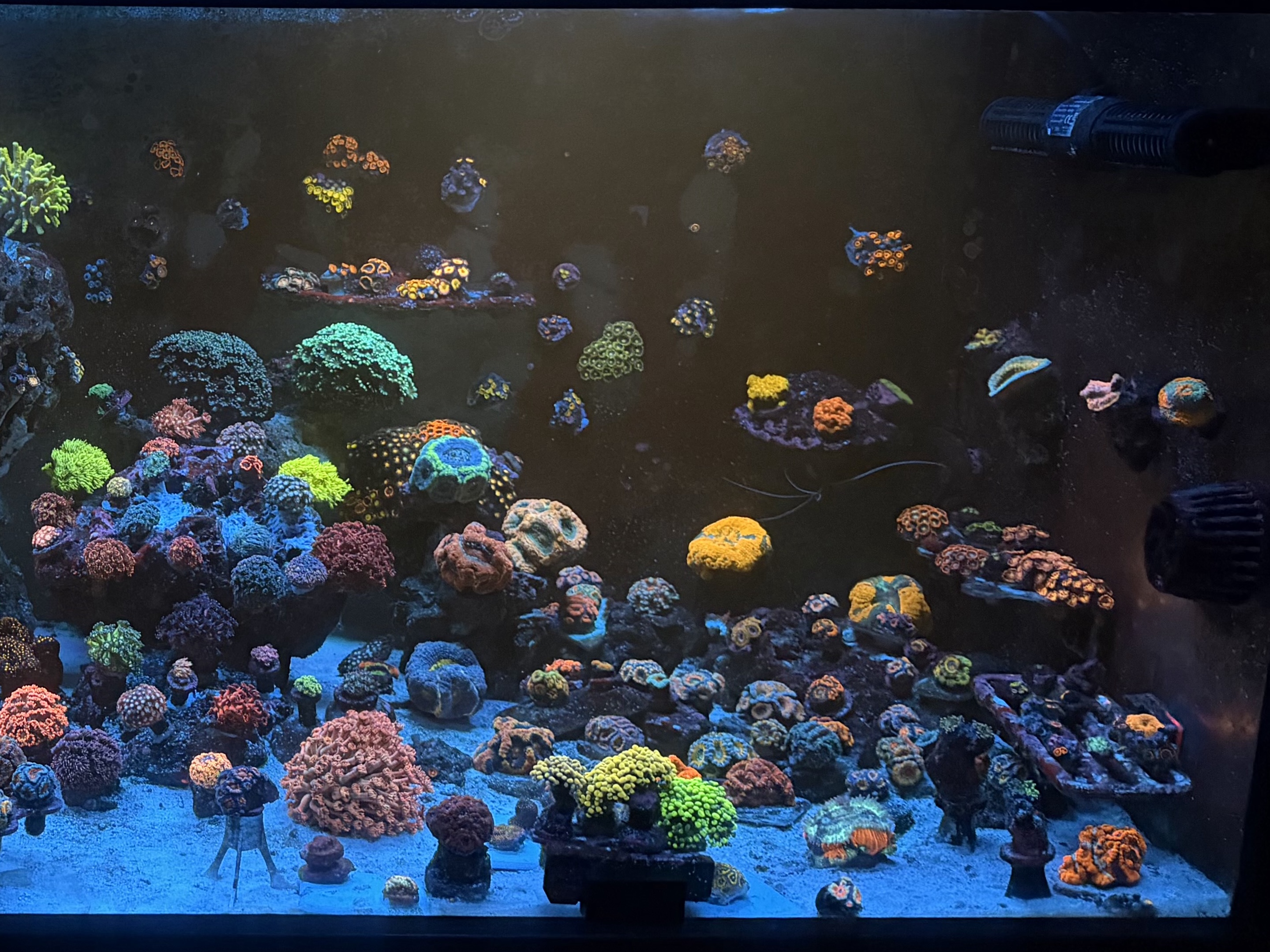 Tank Image