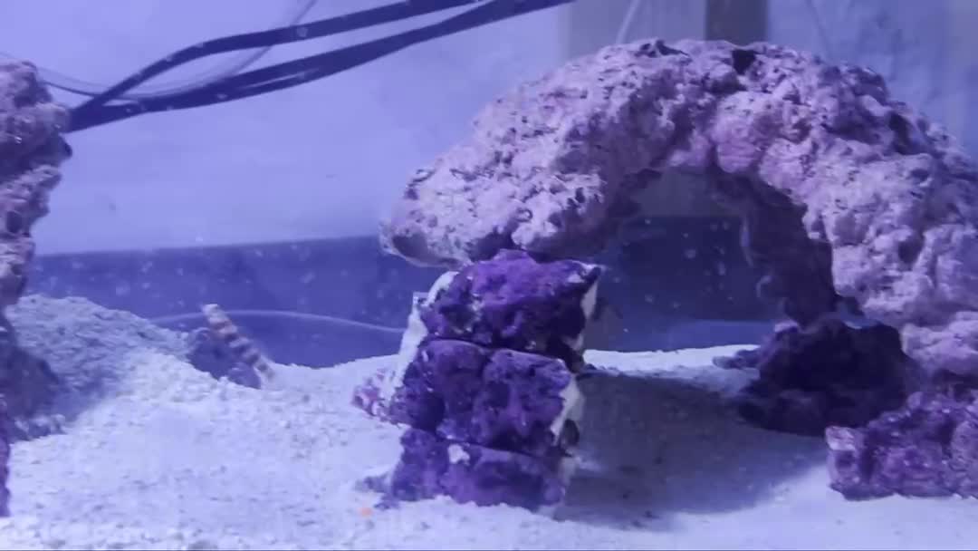 First two residents