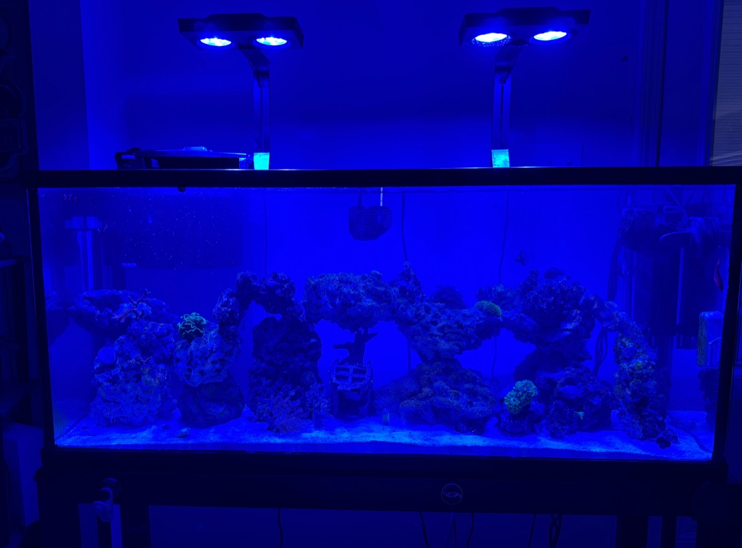 Tank Image