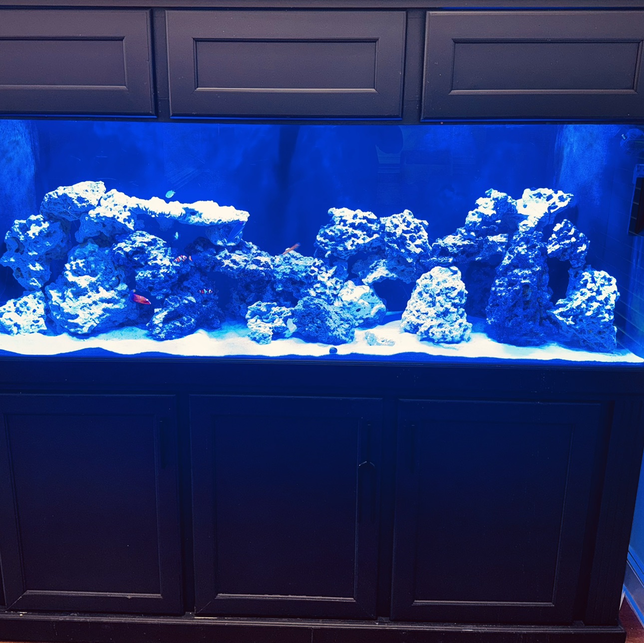Tank Image